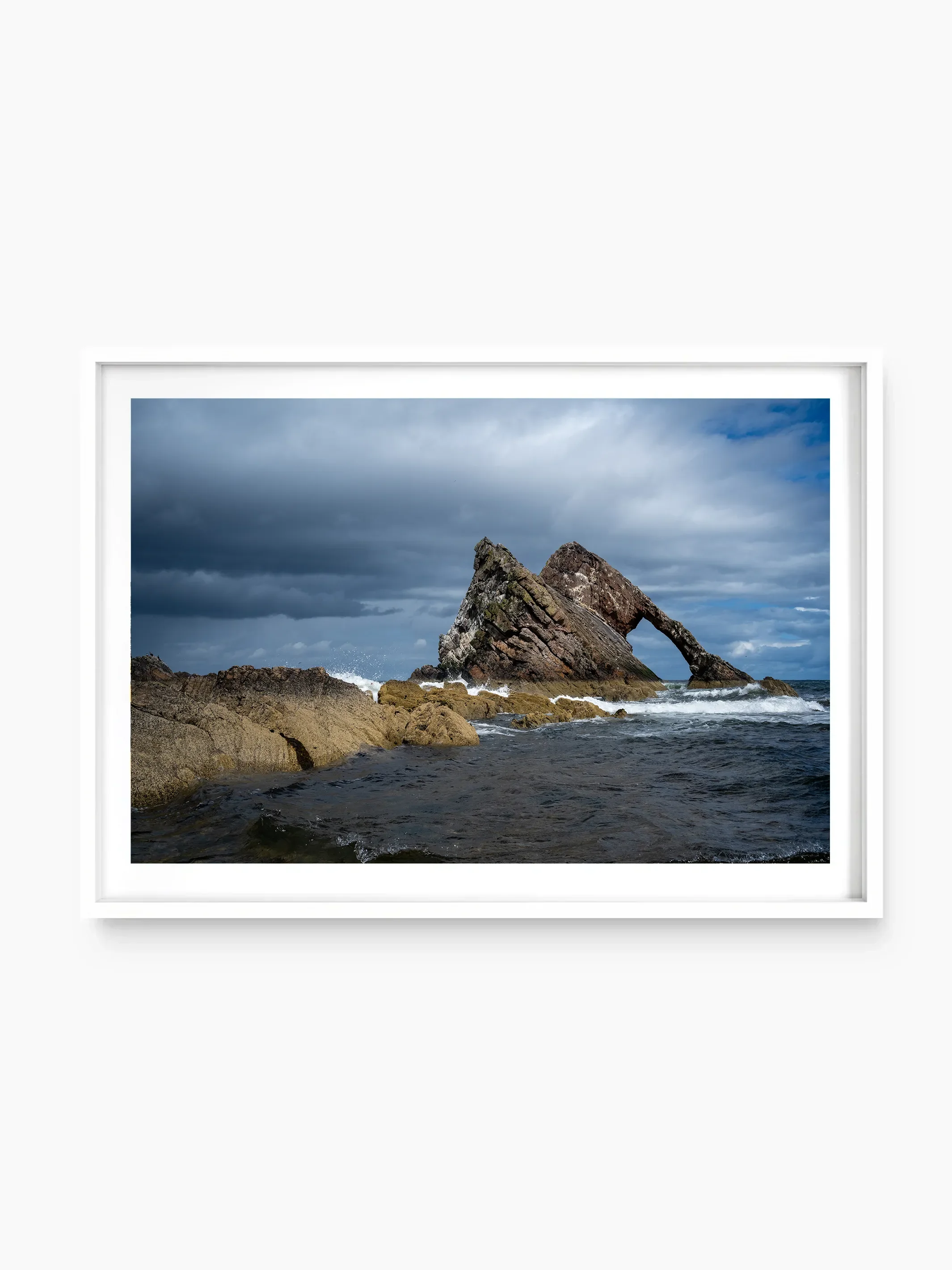 white_template copy.webp