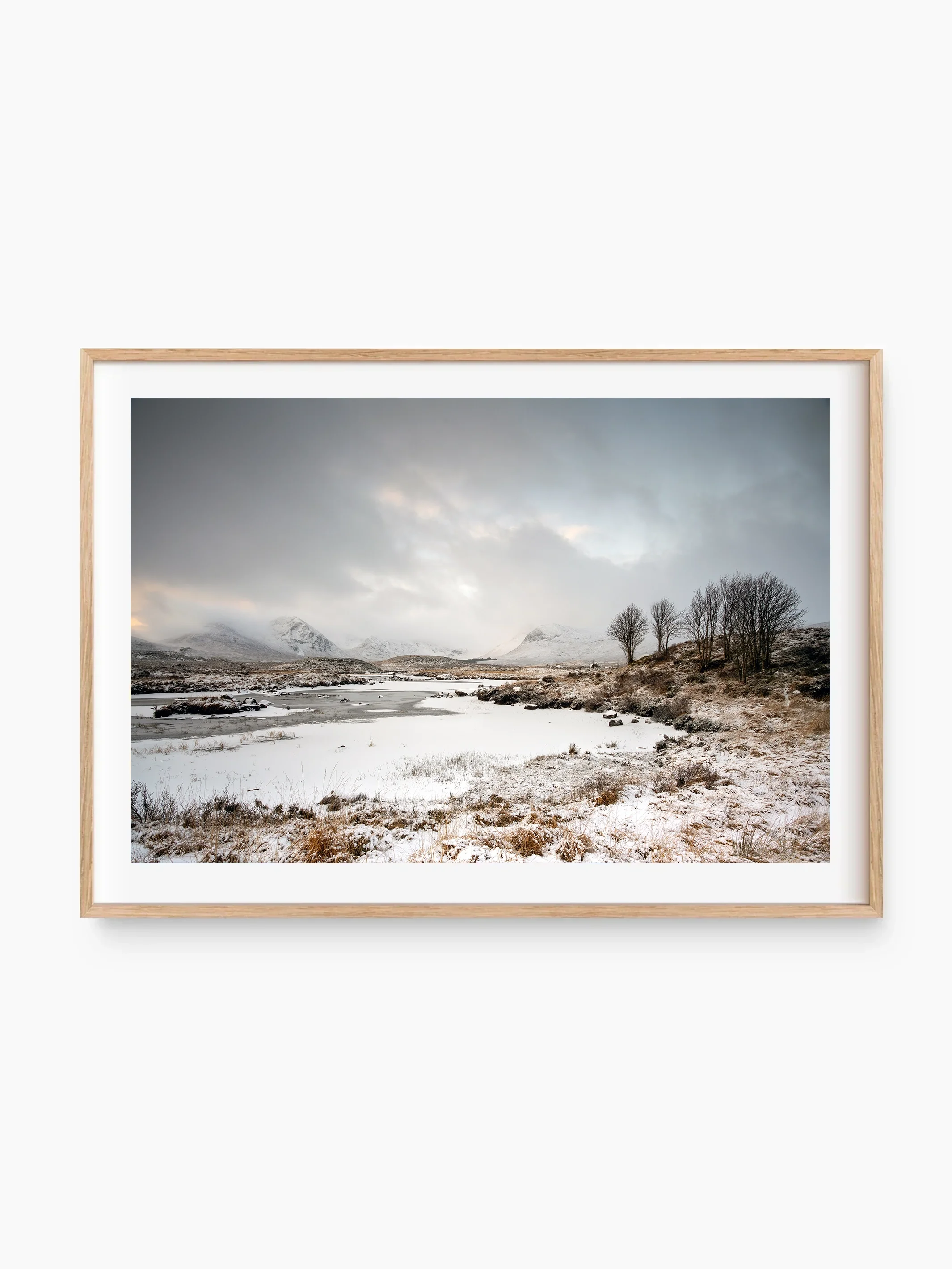 beech_template copy.webp