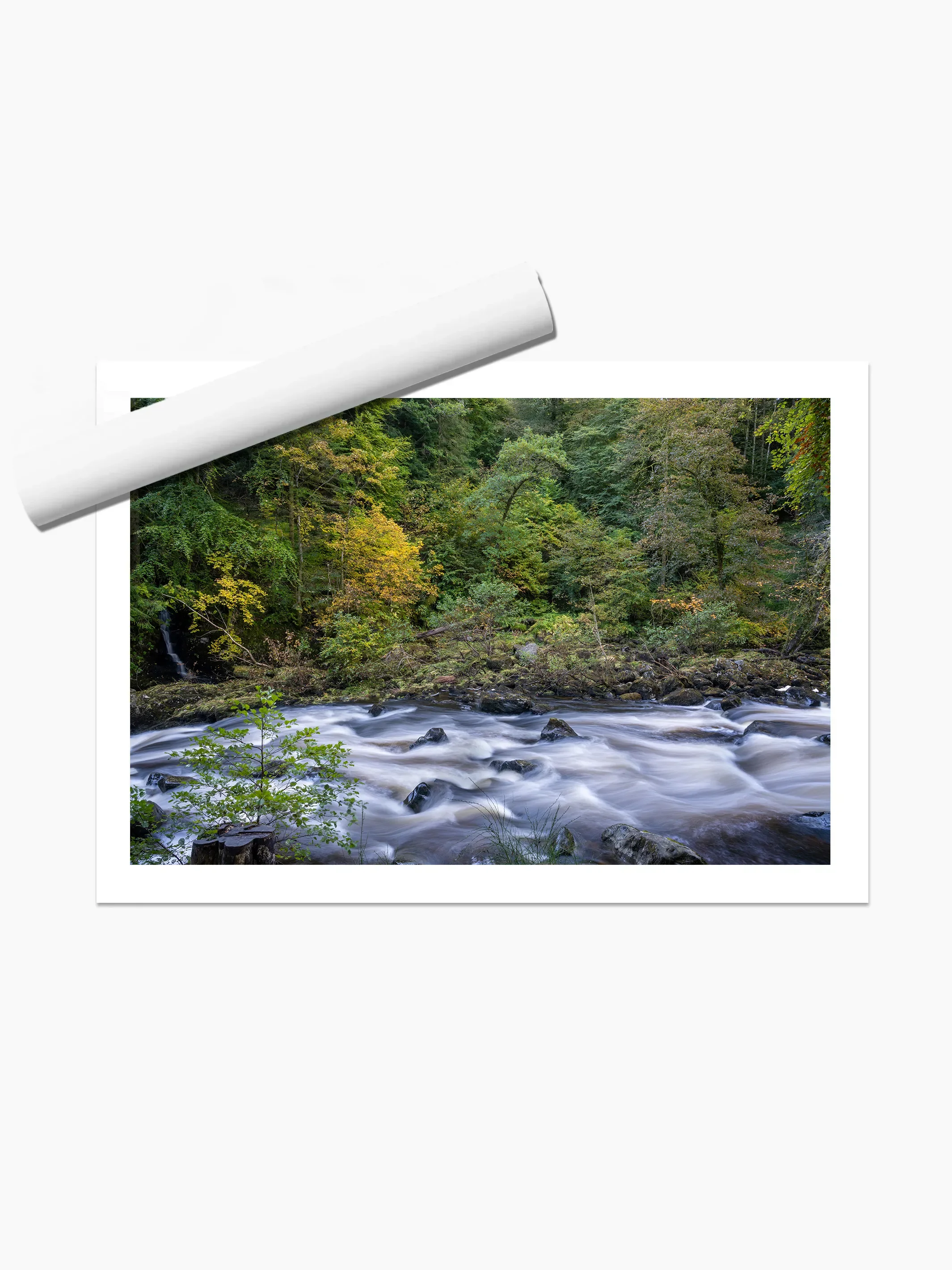 print template copy.webp