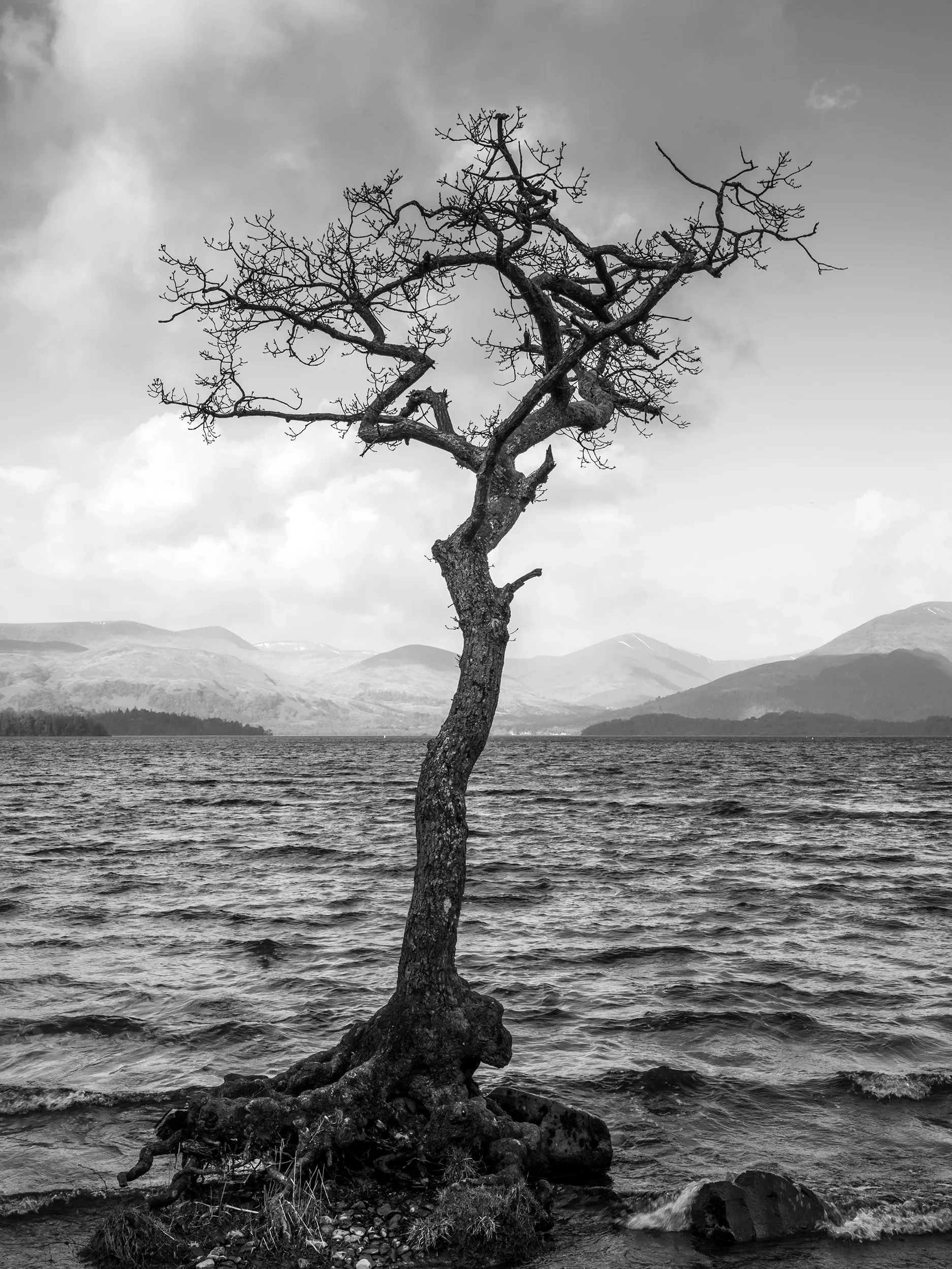 A small white boat floating on a body of water with a historic stone castle in the background, partially hidden by green trees and a cloudy sky.