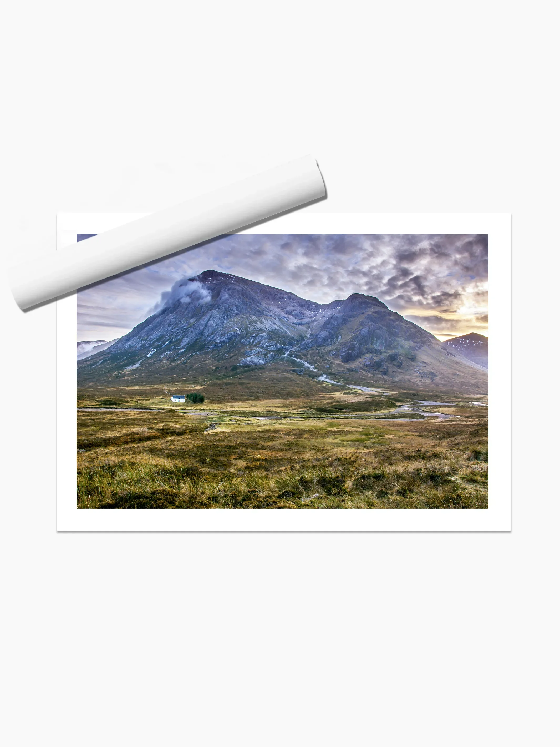 print template copy.webp