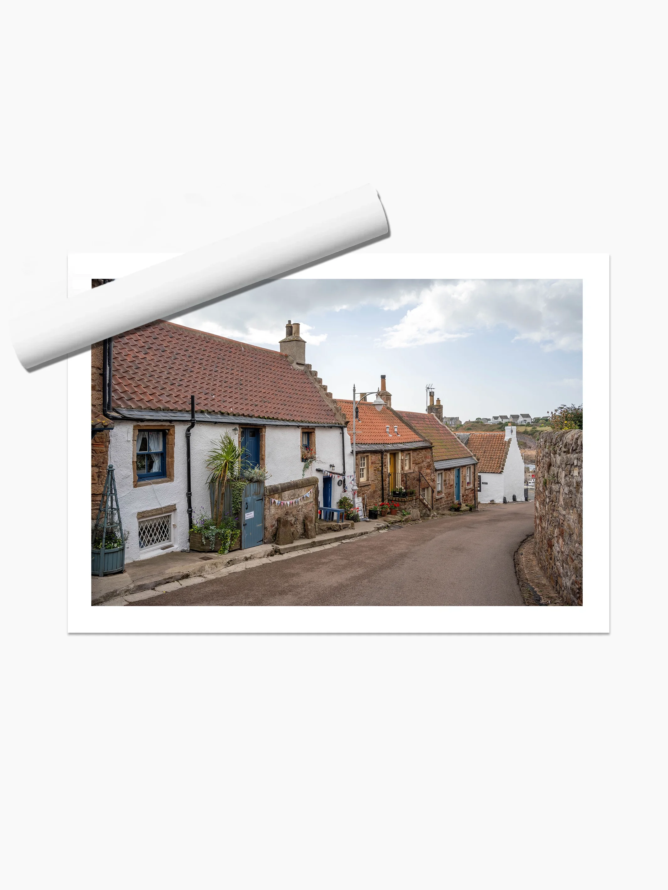 print template copy.webp