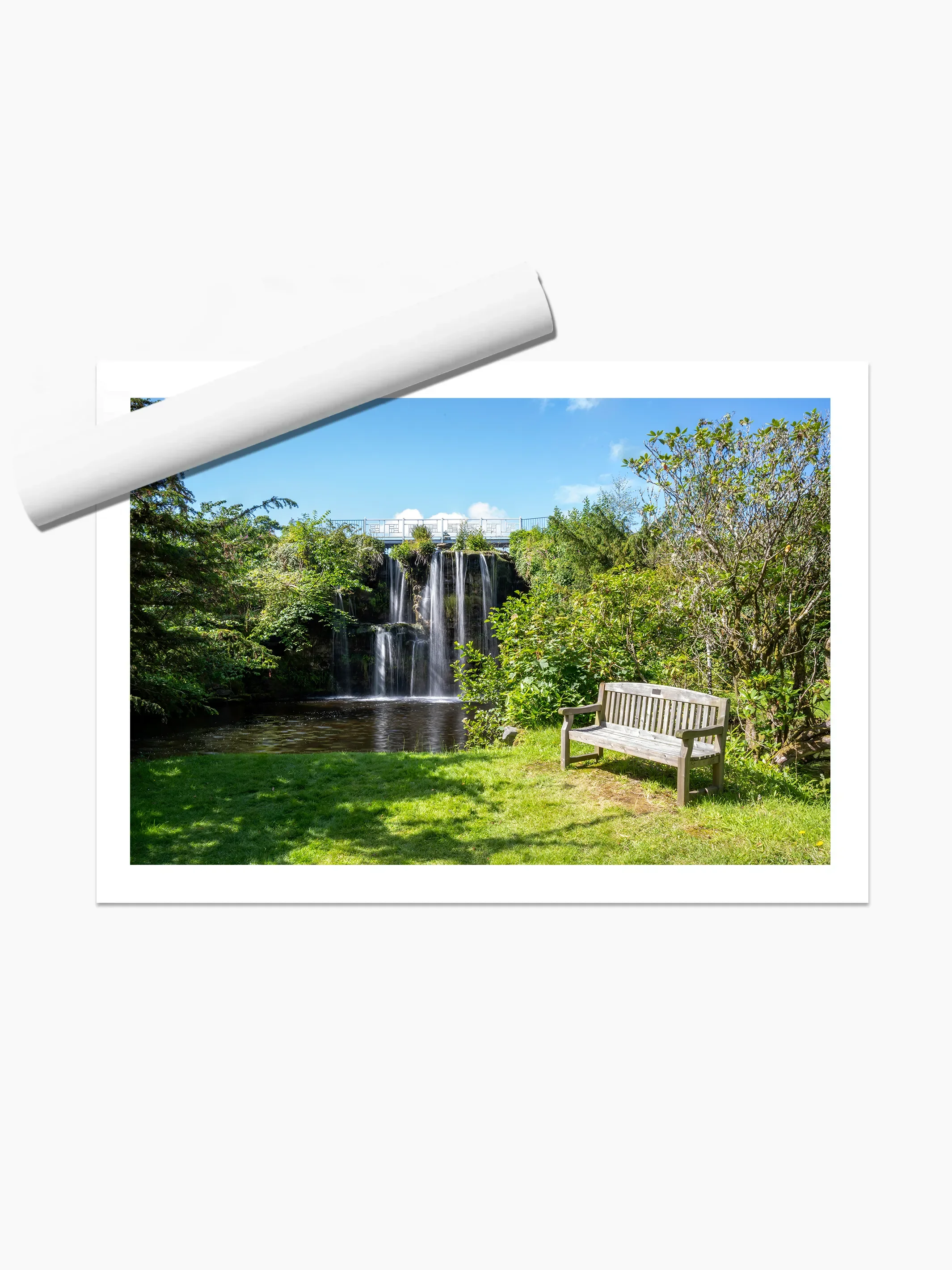 print template copy.webp