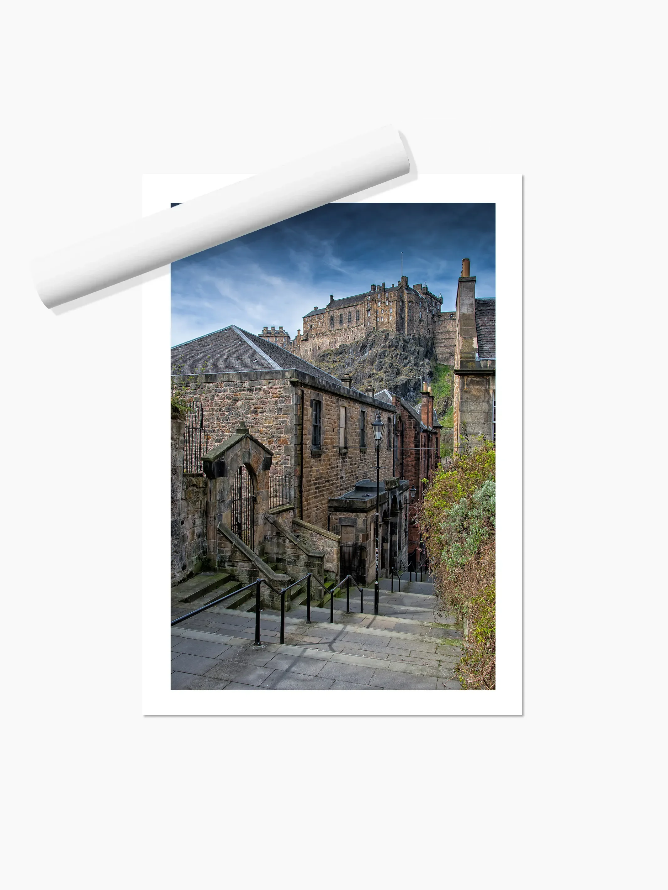 Portrait_print copy.webp