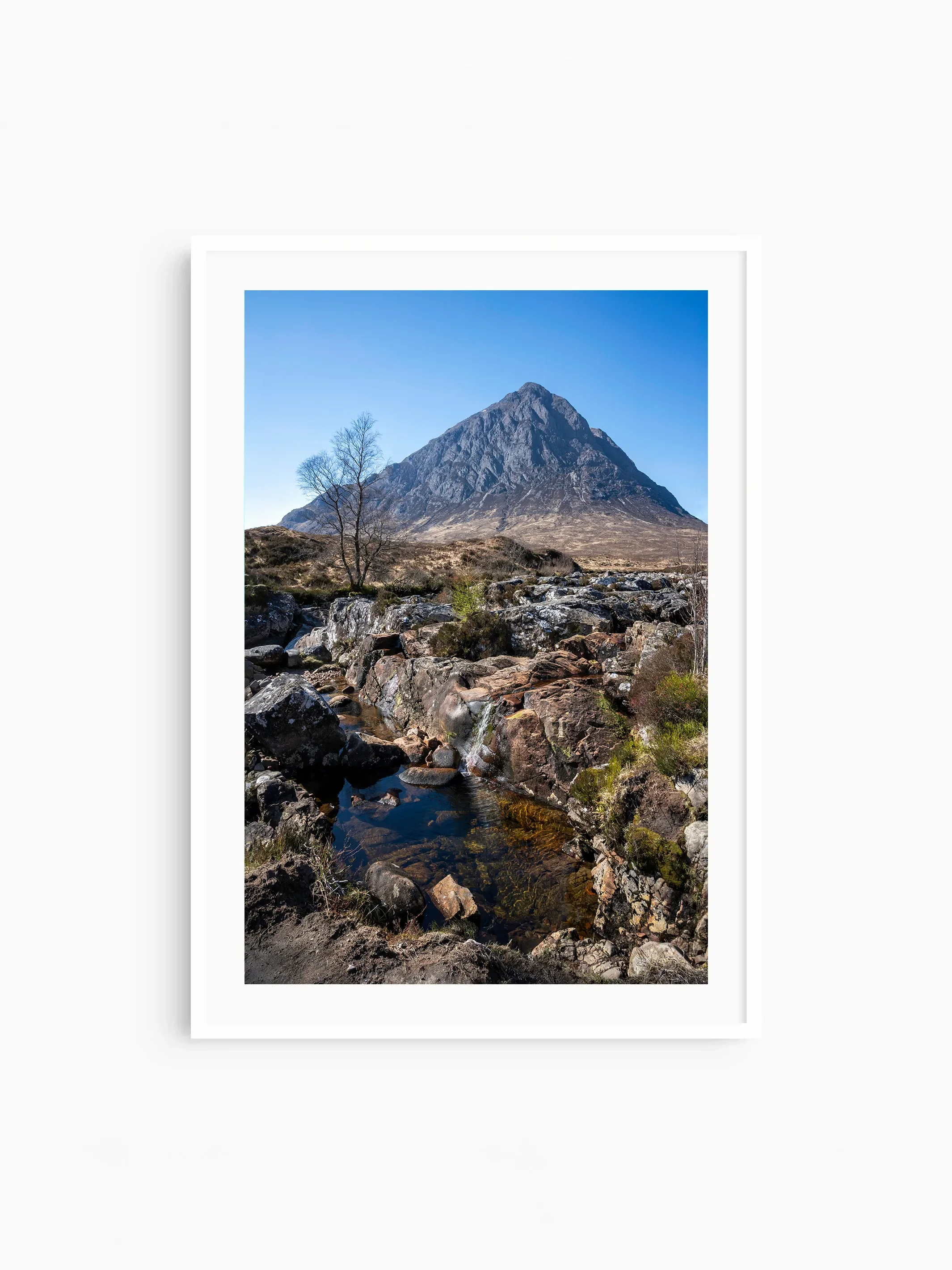 Portrait_white_template copy.webp