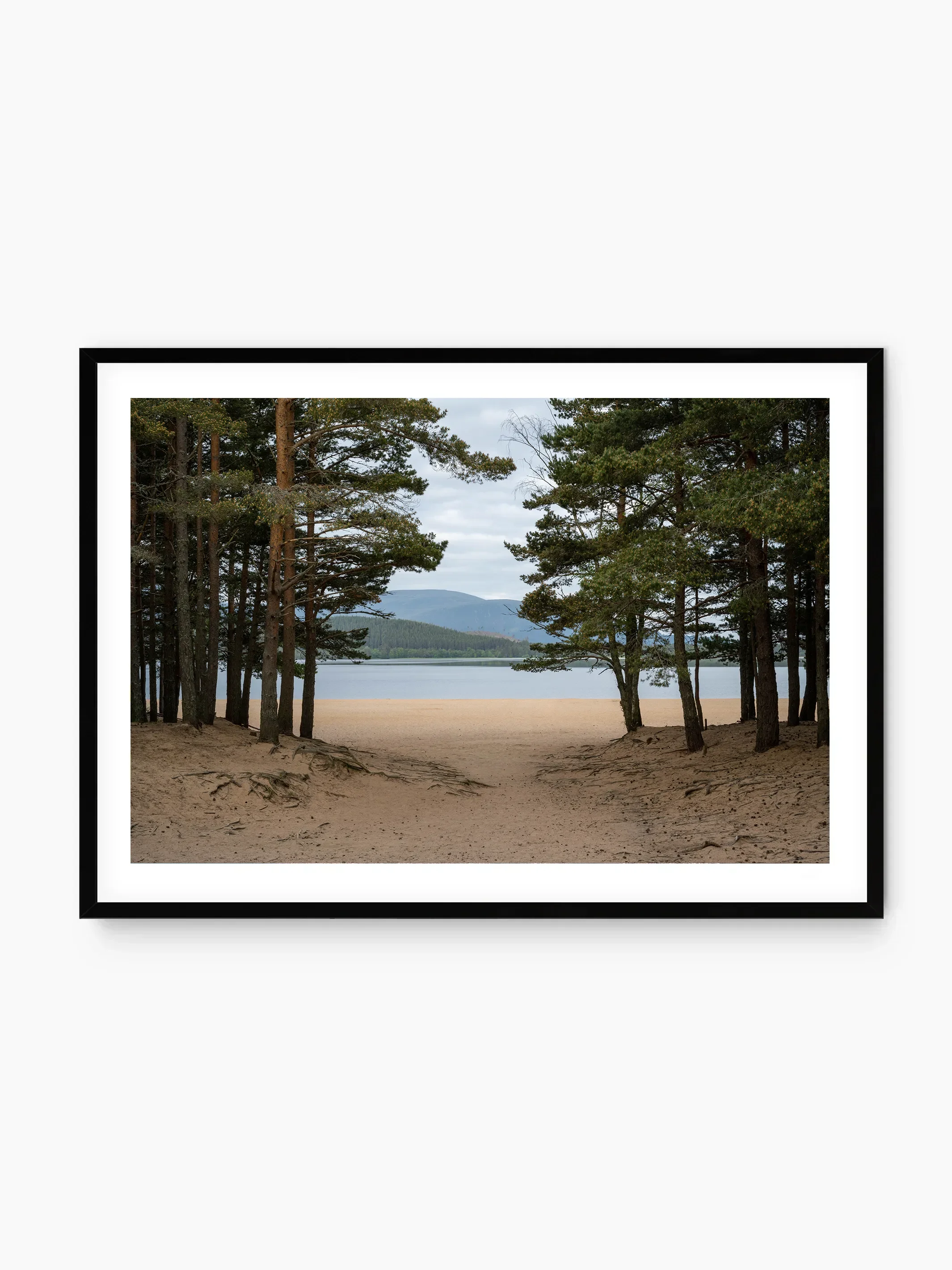 black_template copy.webp