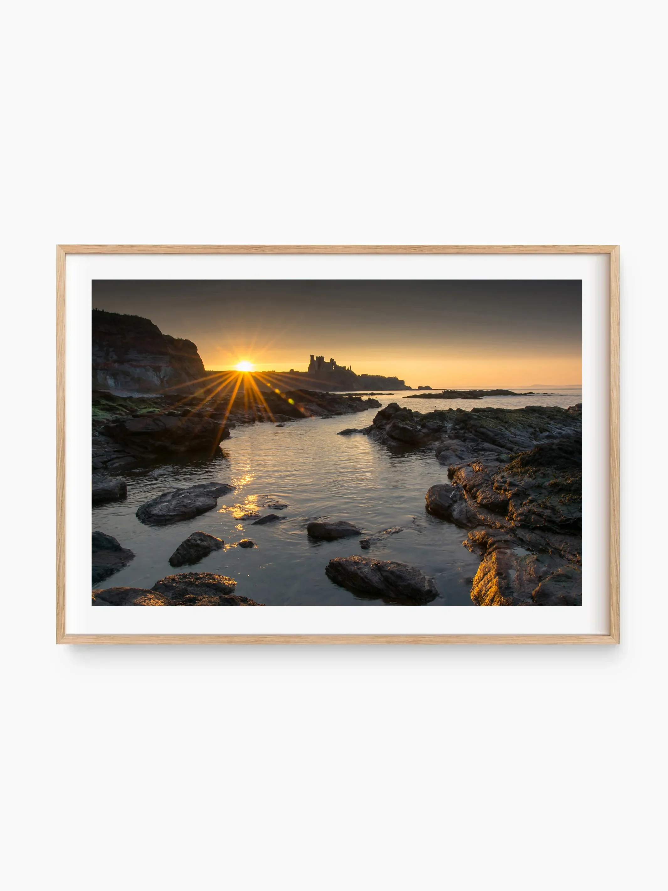 beech_template copy.webp