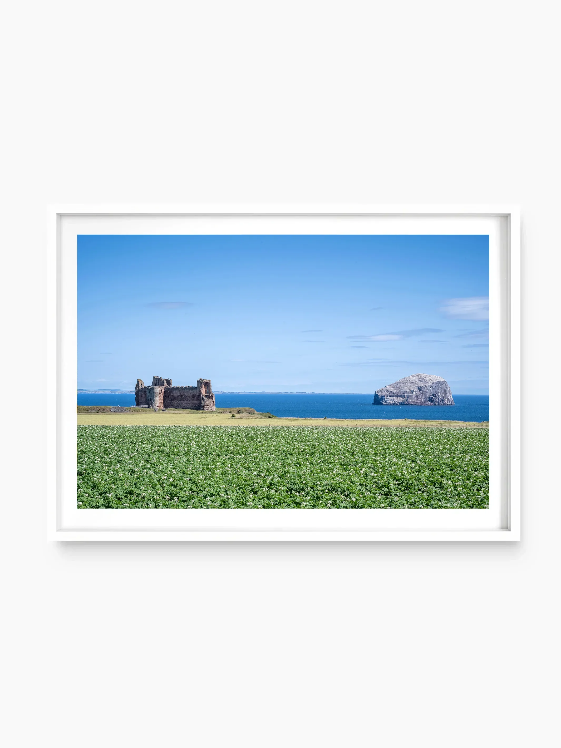 Tantallon Castle & Bass Rock
