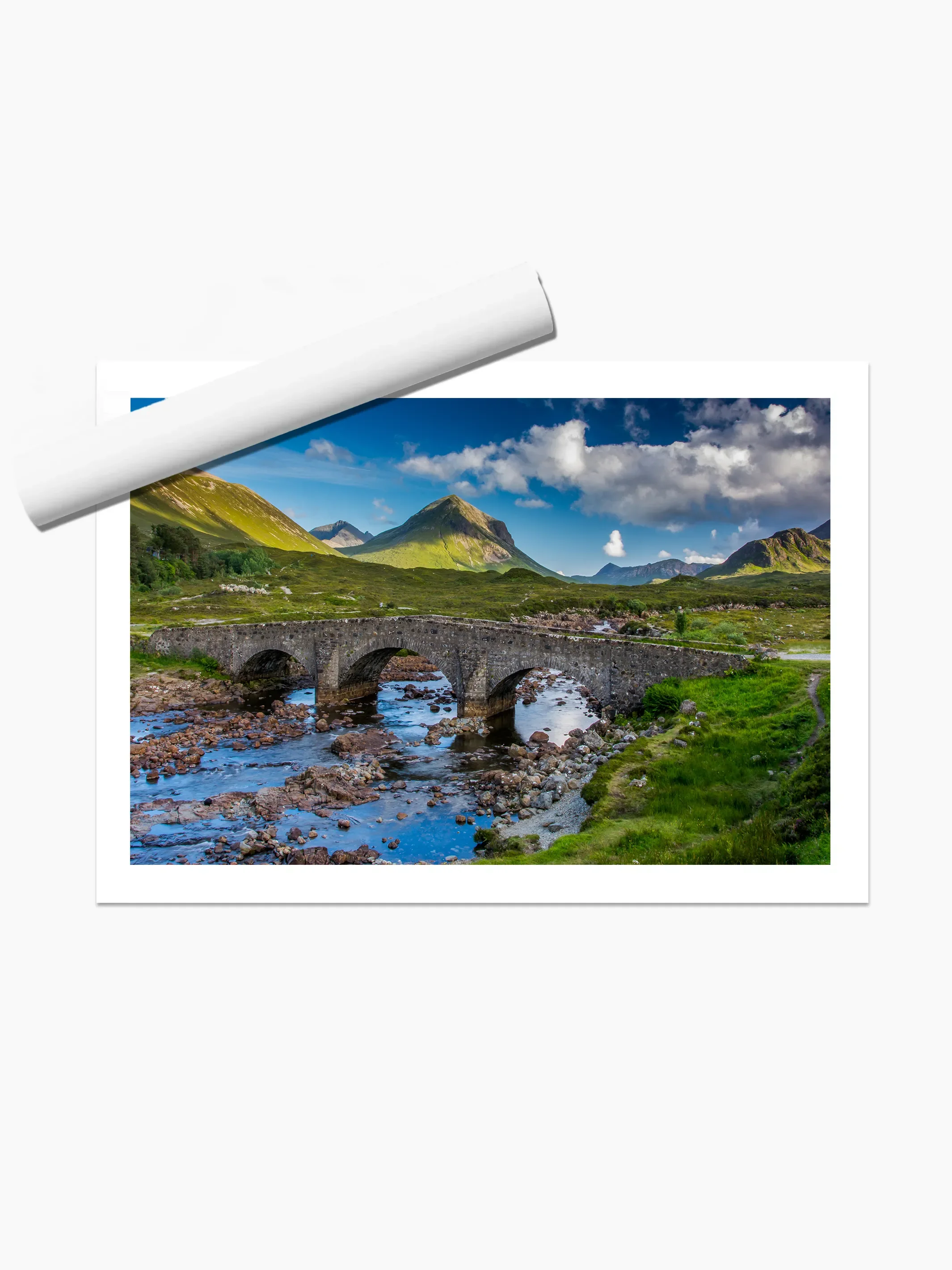 print template copy.webp