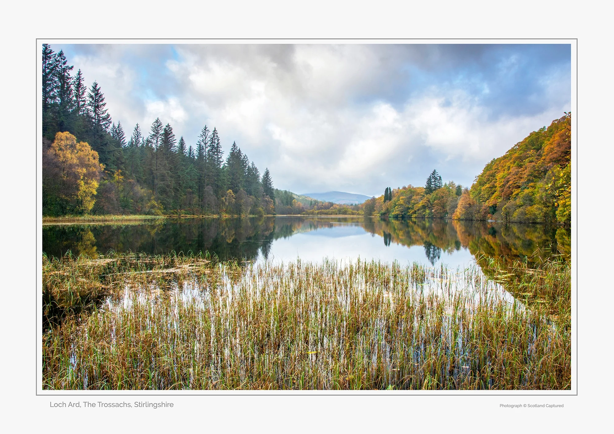 Loch Ard, The Trossachs National Park
