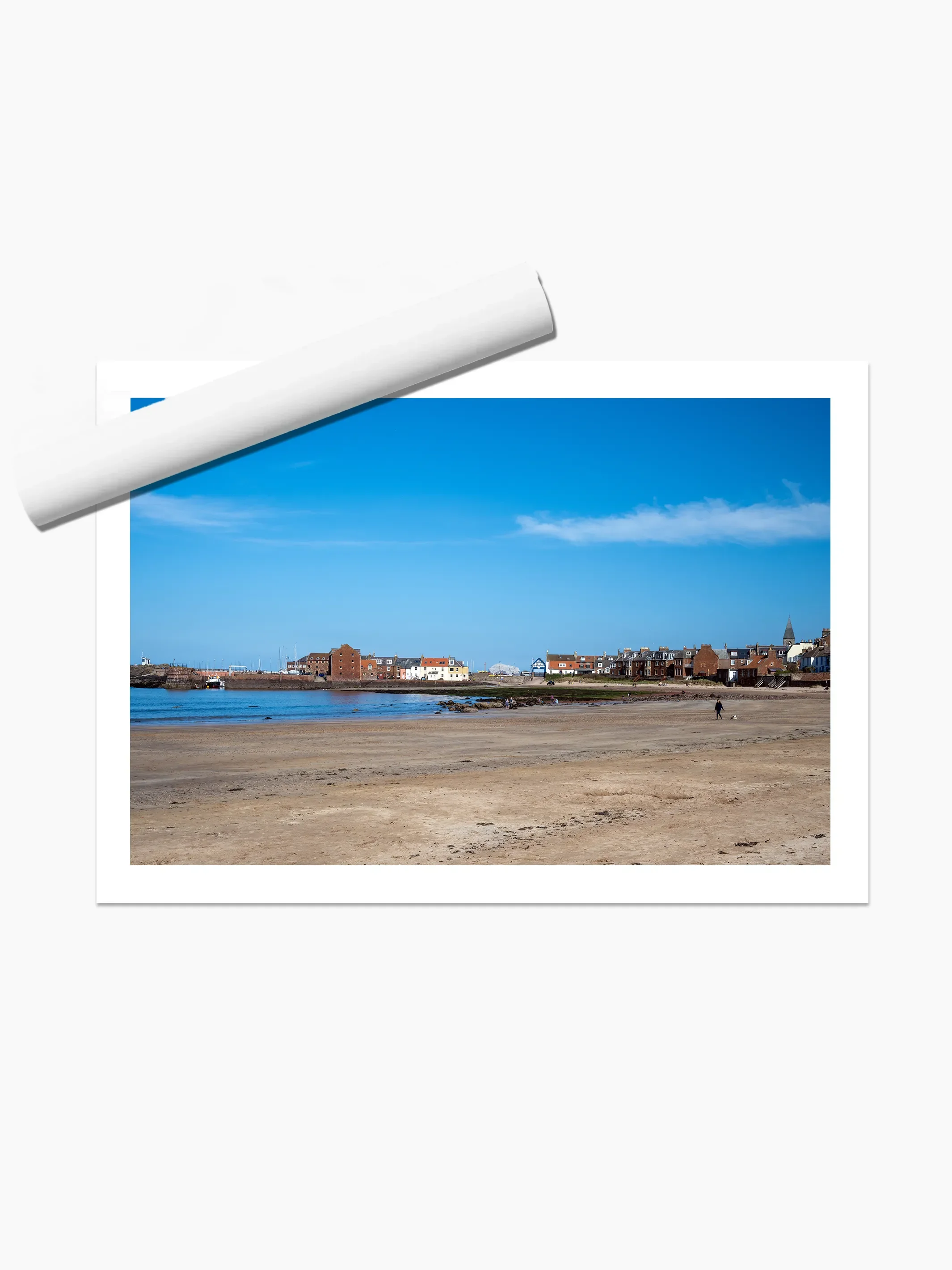 print template copy.webp