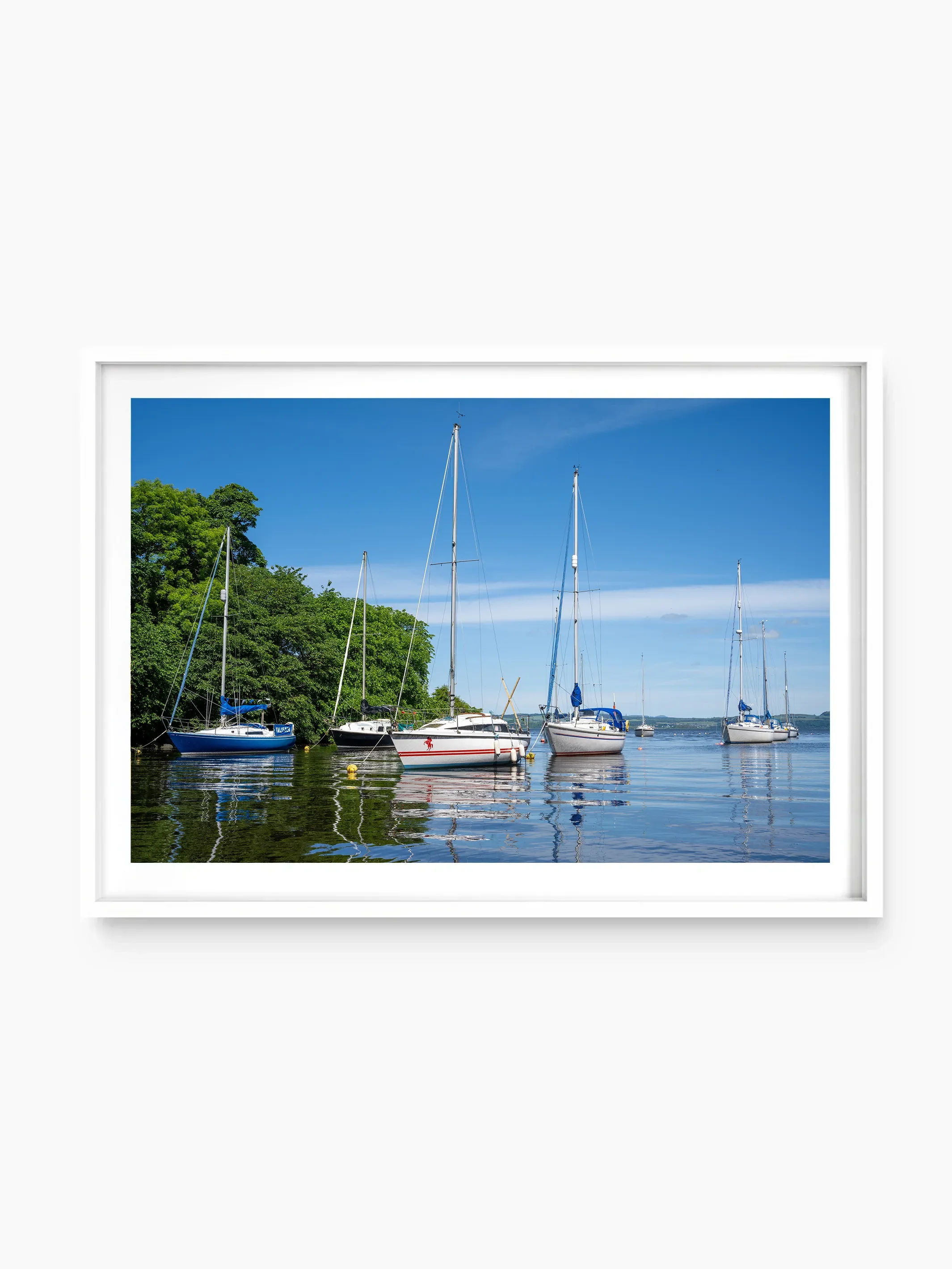 white_template copy.webp