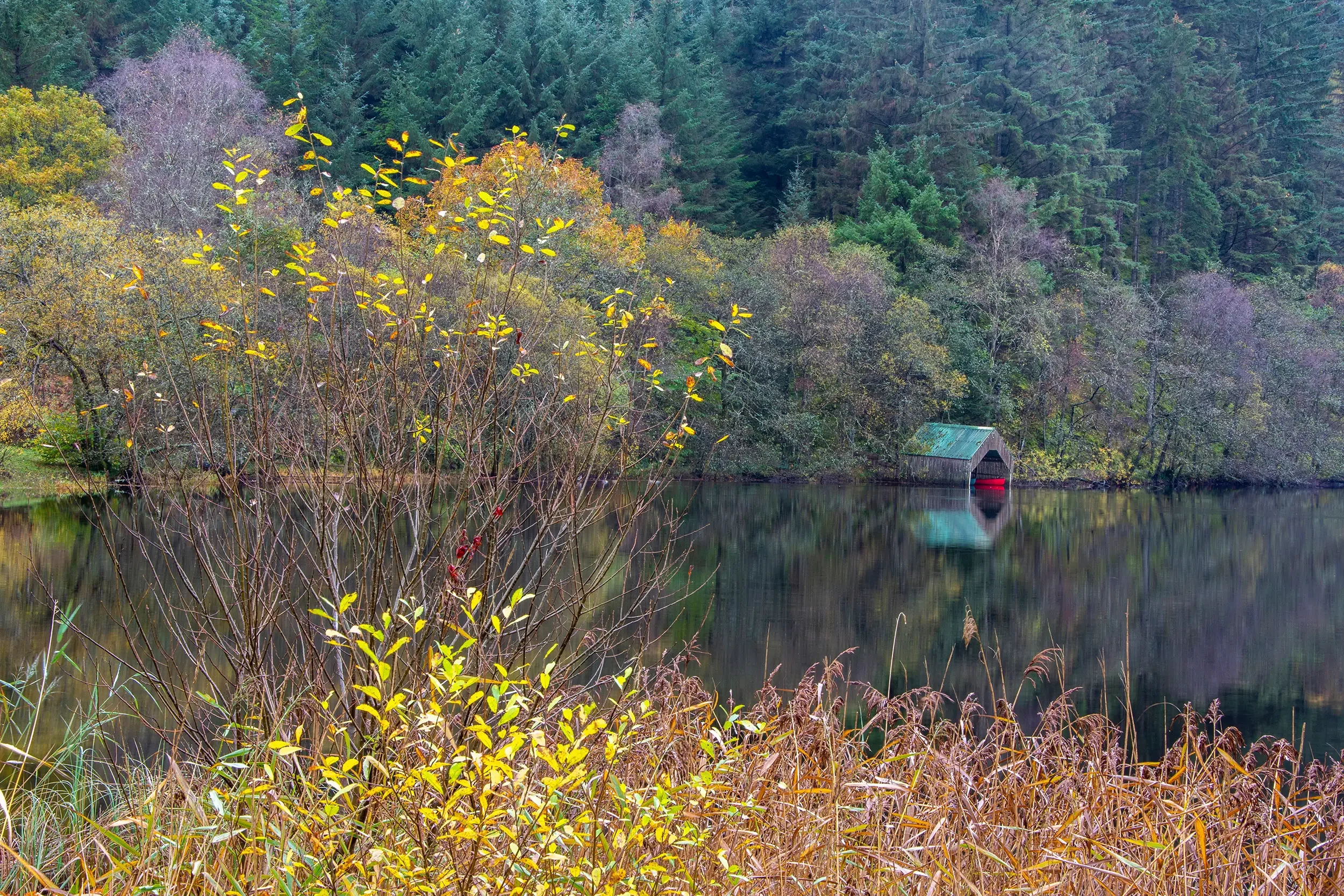 Loch Ard, The Trossachs National Park