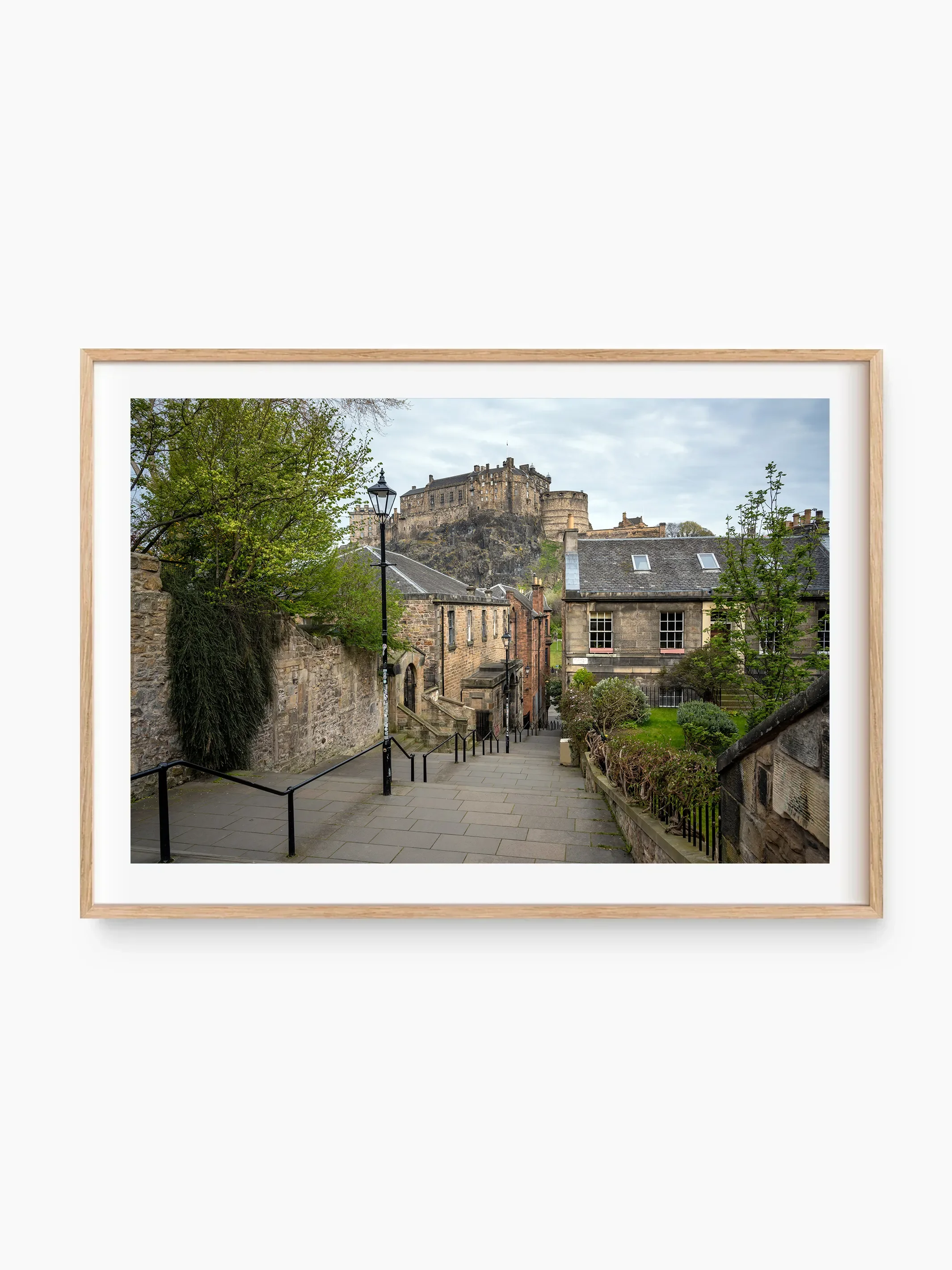 beech_template copy.webp