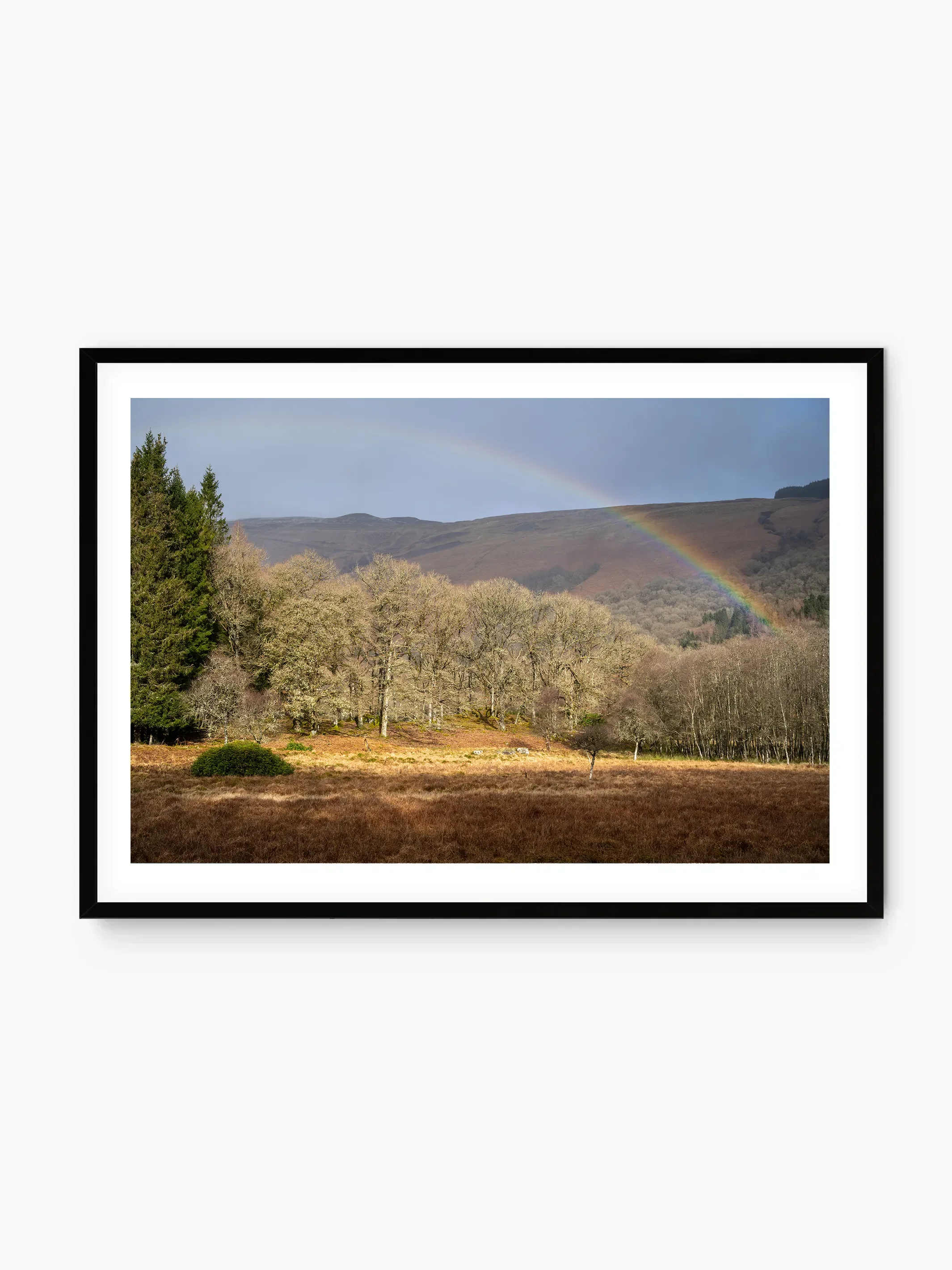 black_template copy.webp