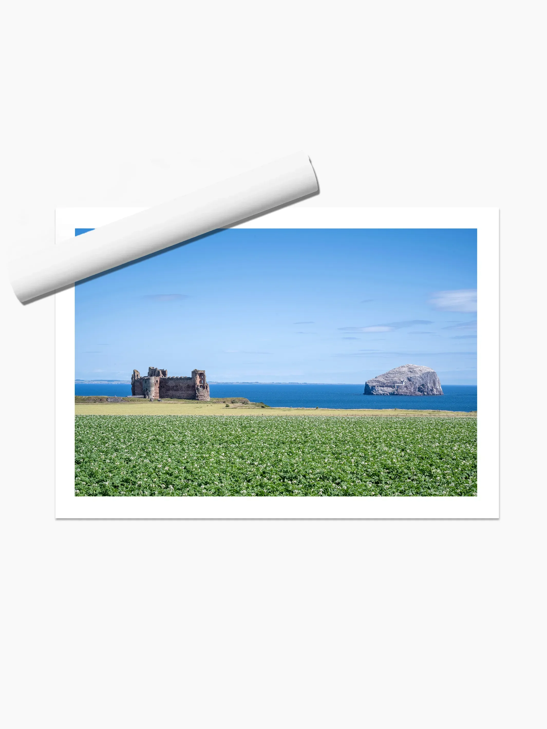 print template copy 2.webp