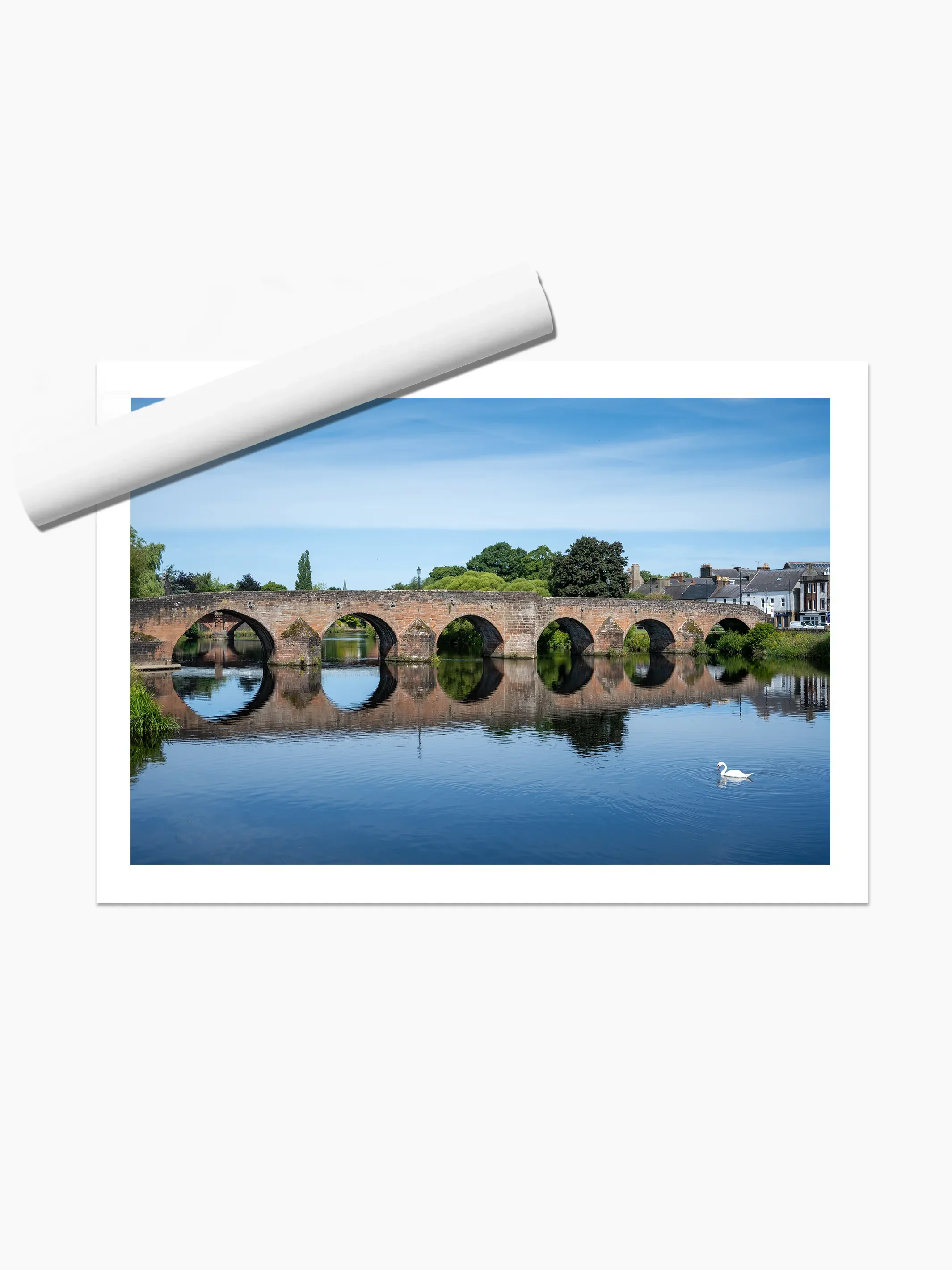 print template copy.webp