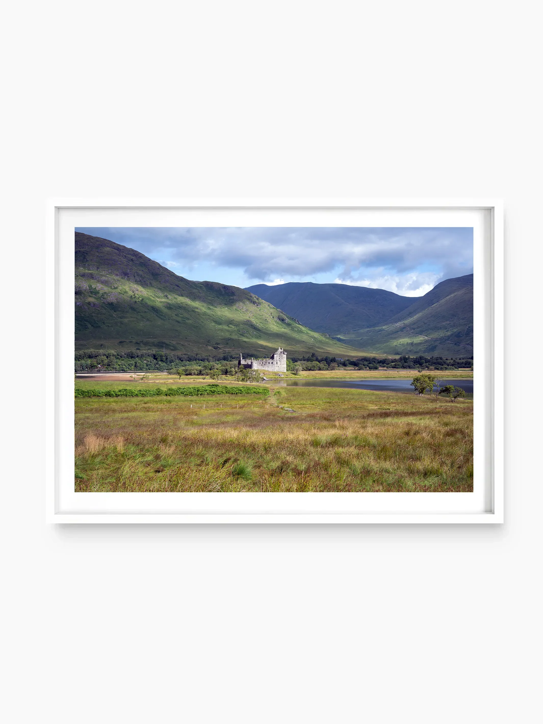 white_template copy.webp