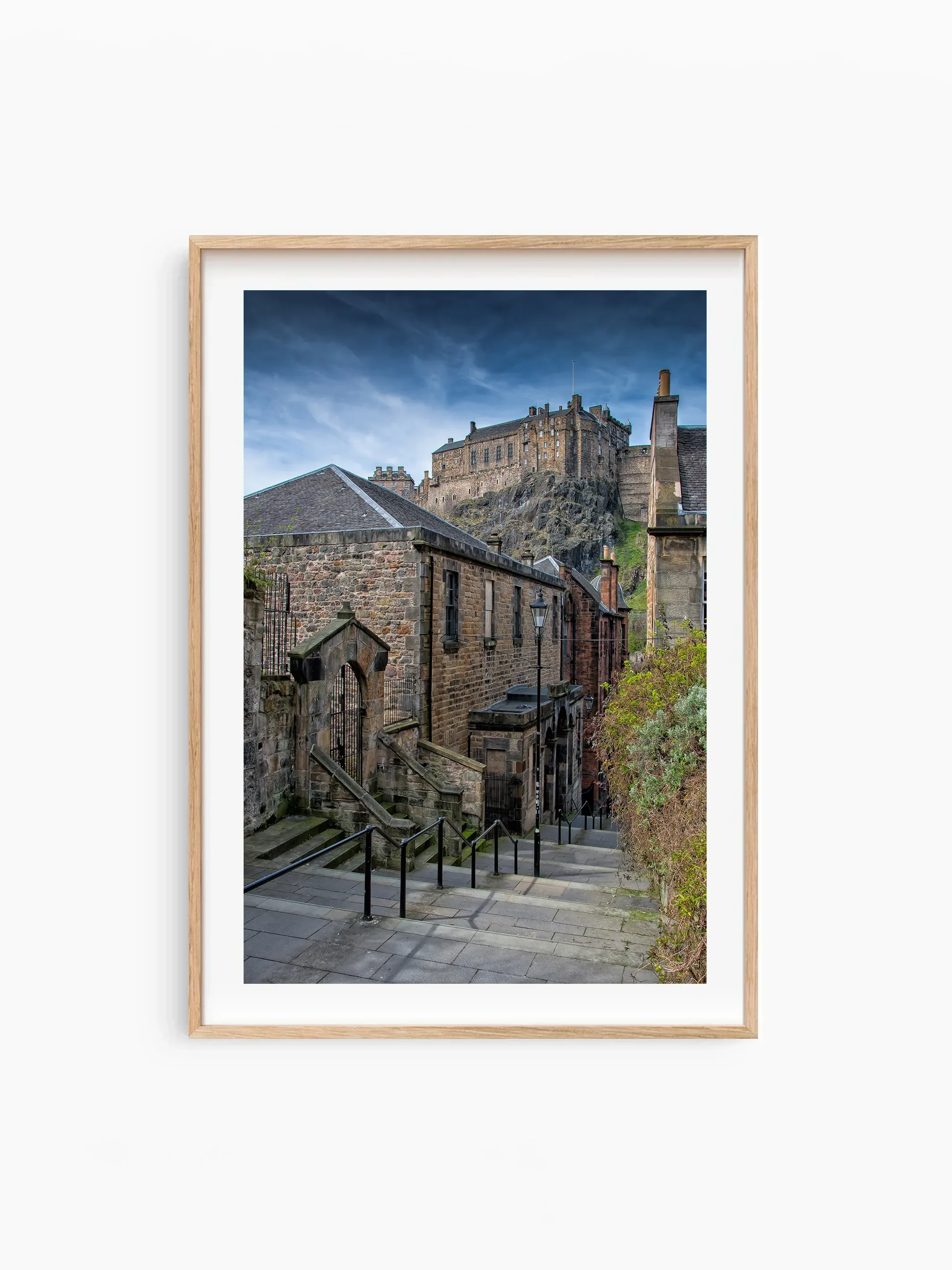 Portrait_Beech_template copy.webp