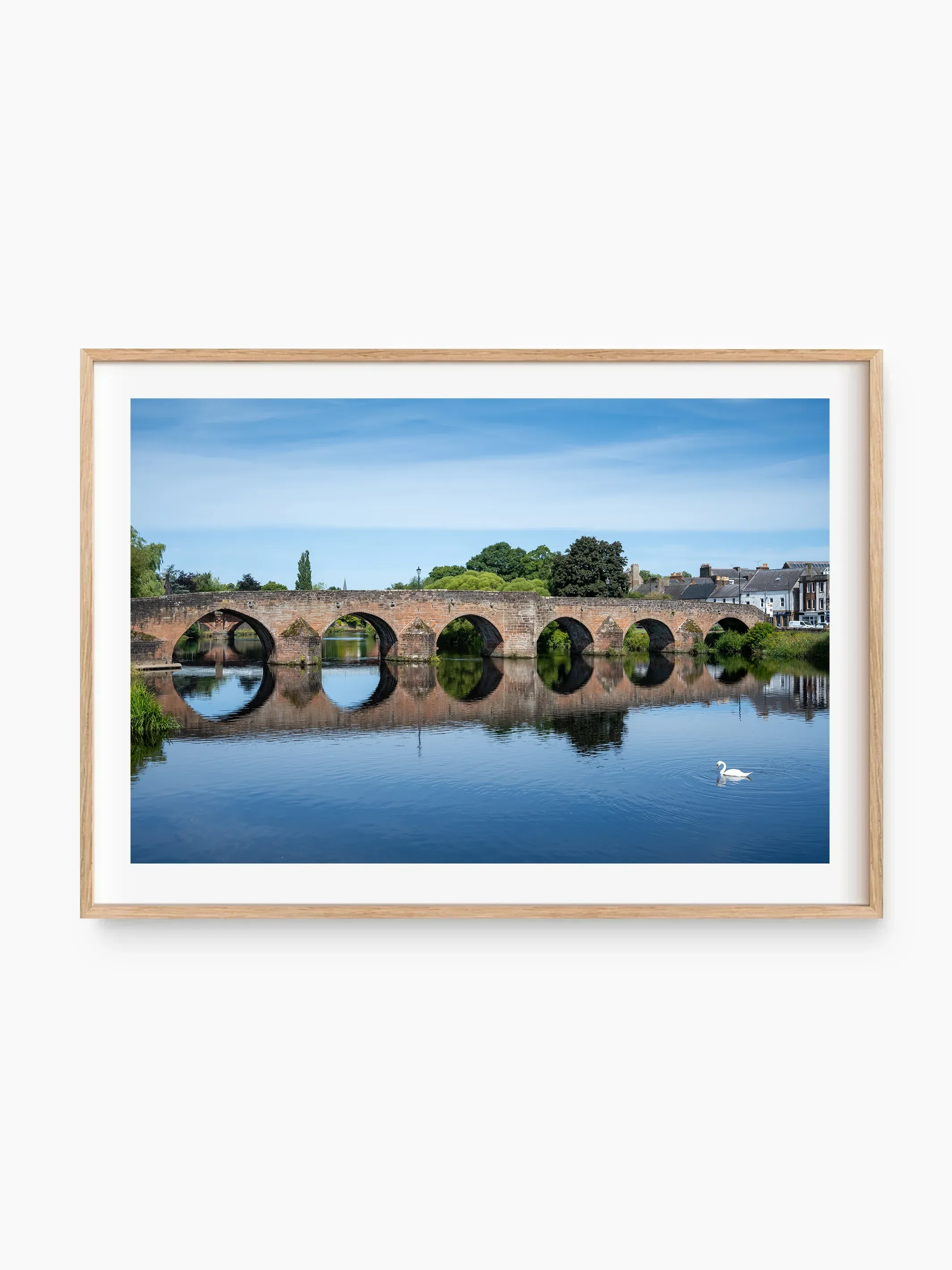 beech_template copy.webp