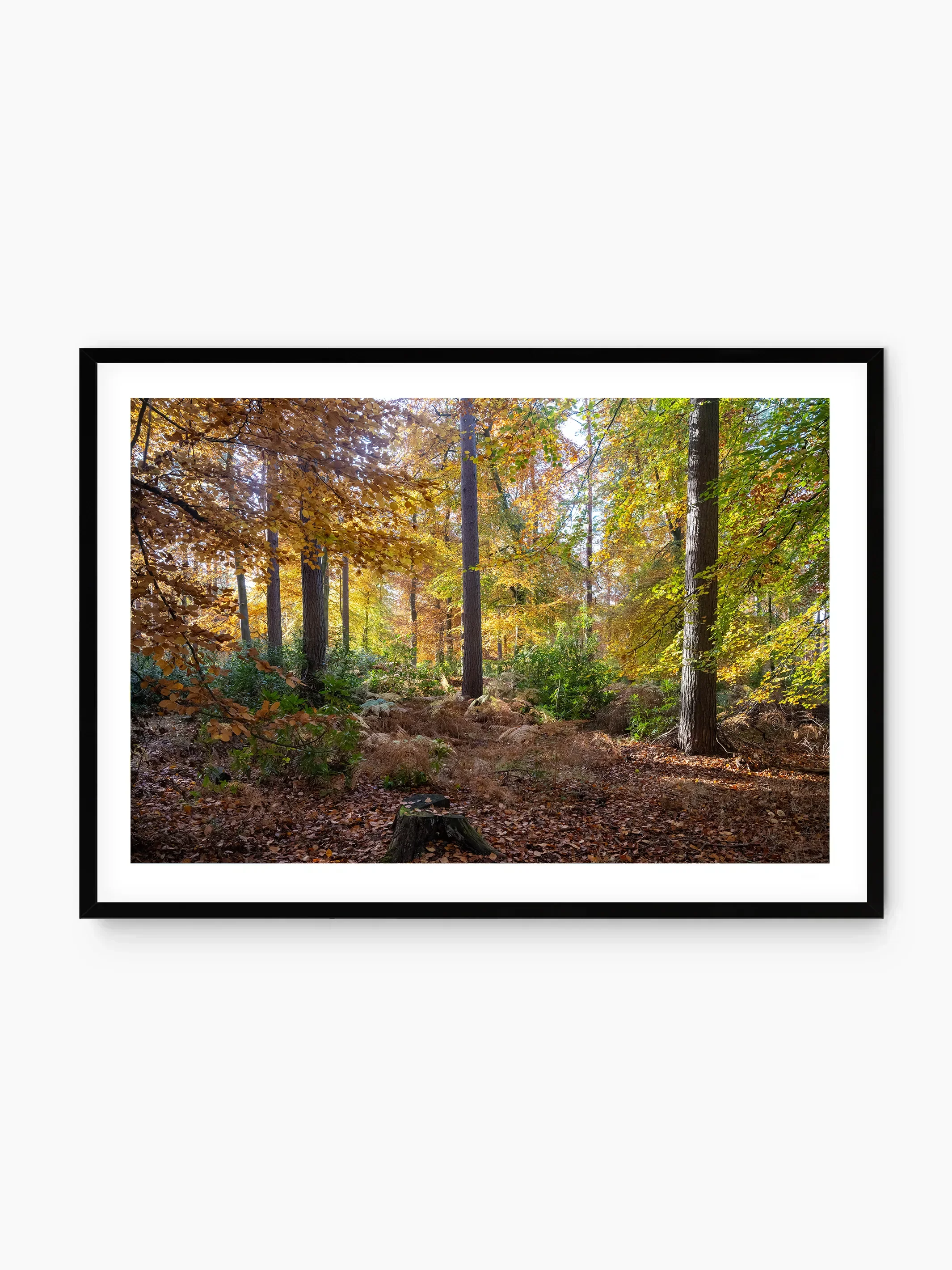 black_template copy.webp