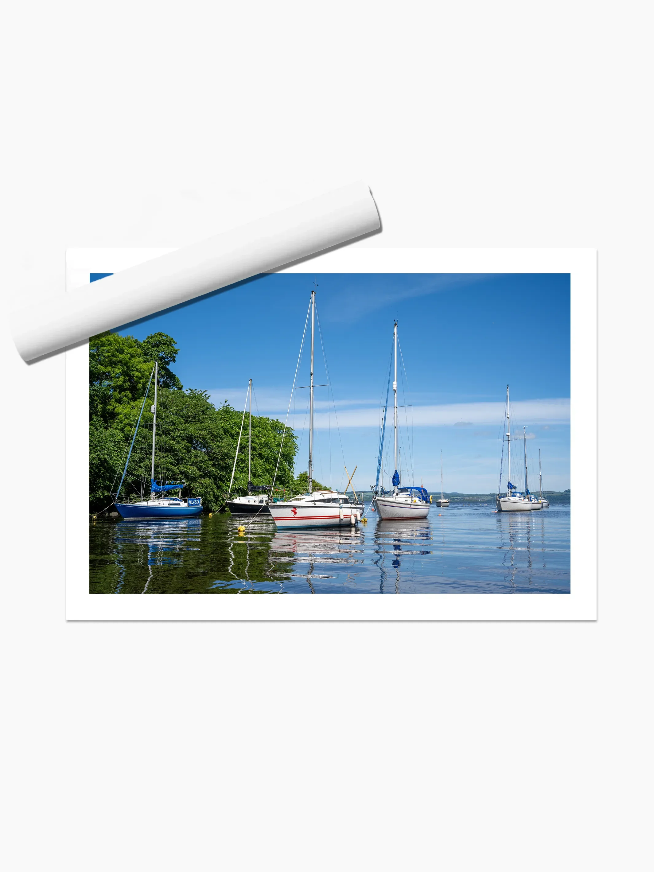 print template copy.webp