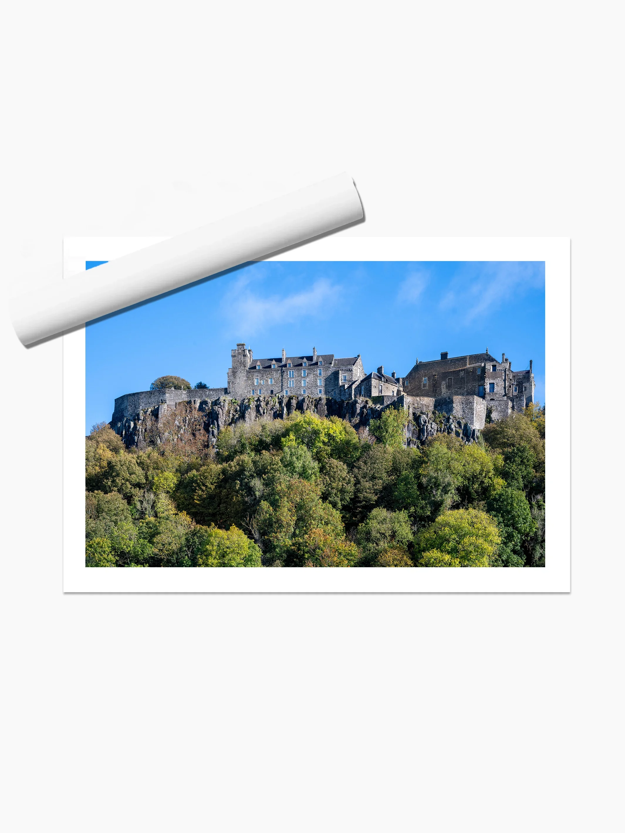 print template copy.webp