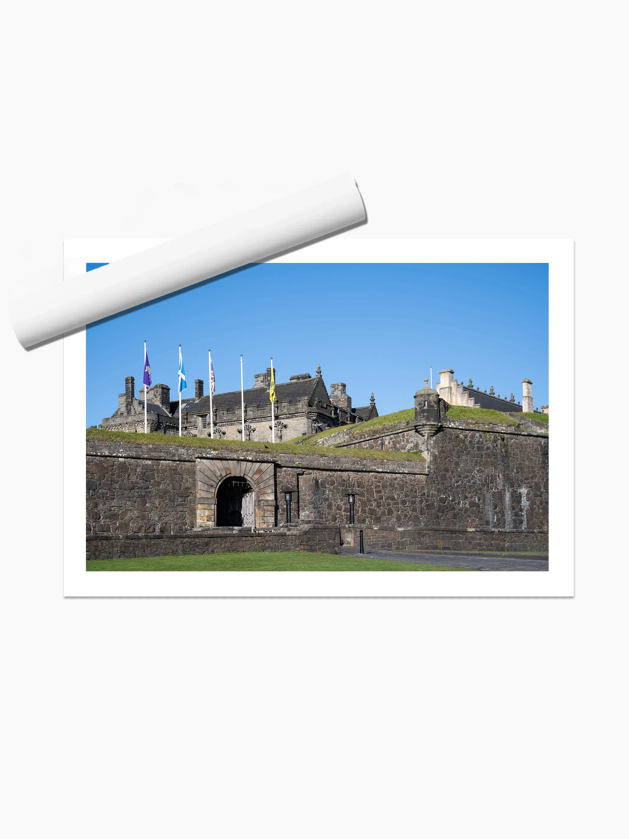 print template copy.webp