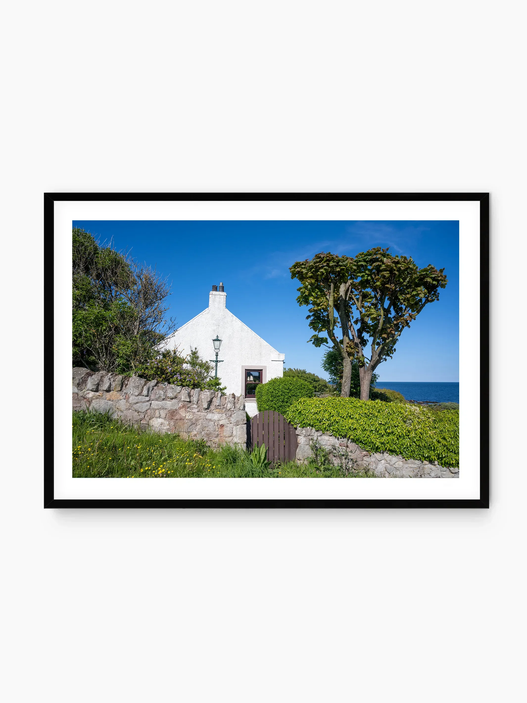 black_template copy.webp