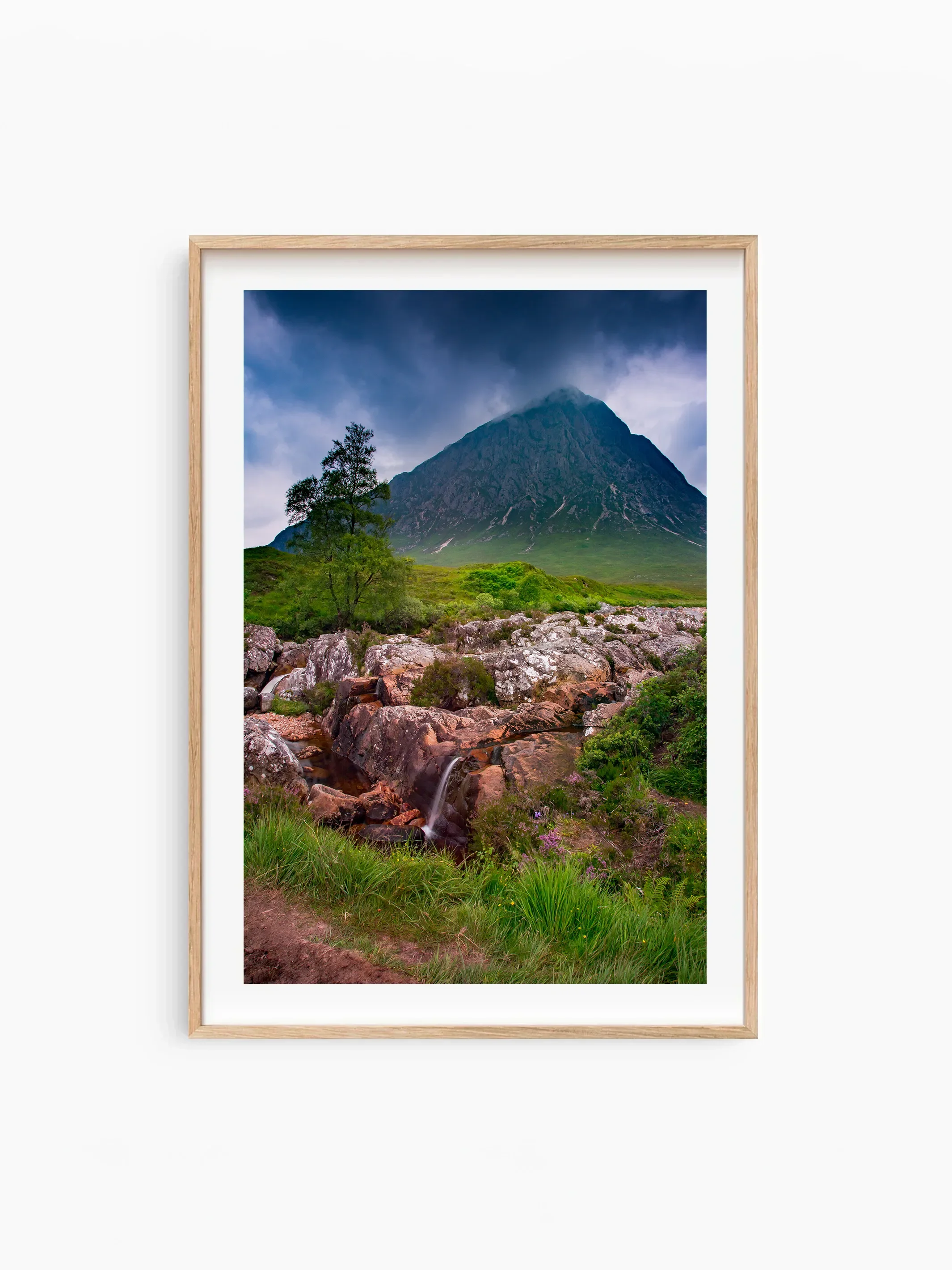 Portrait_Beech_template copy.webp