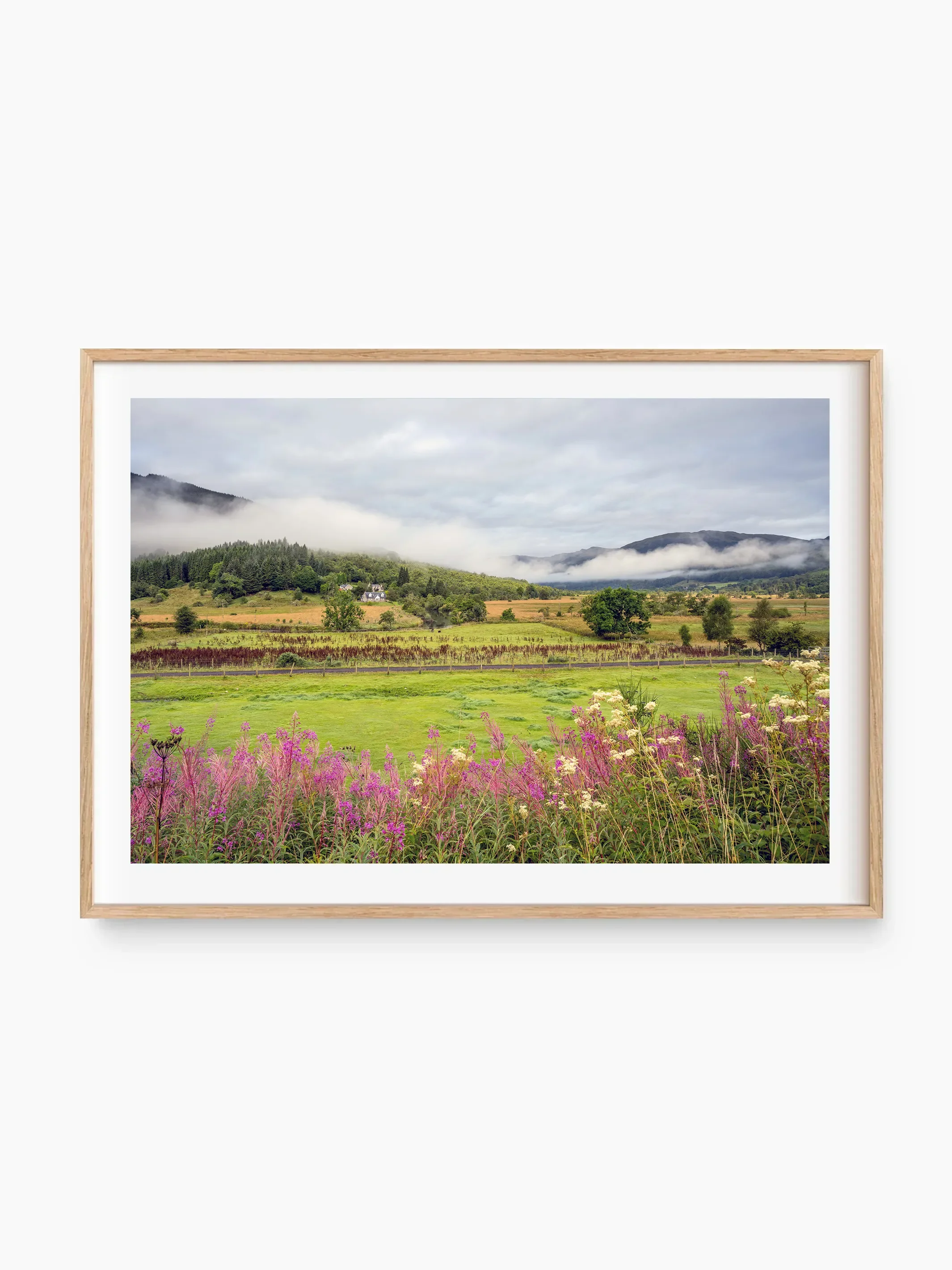 beech_template copy.webp