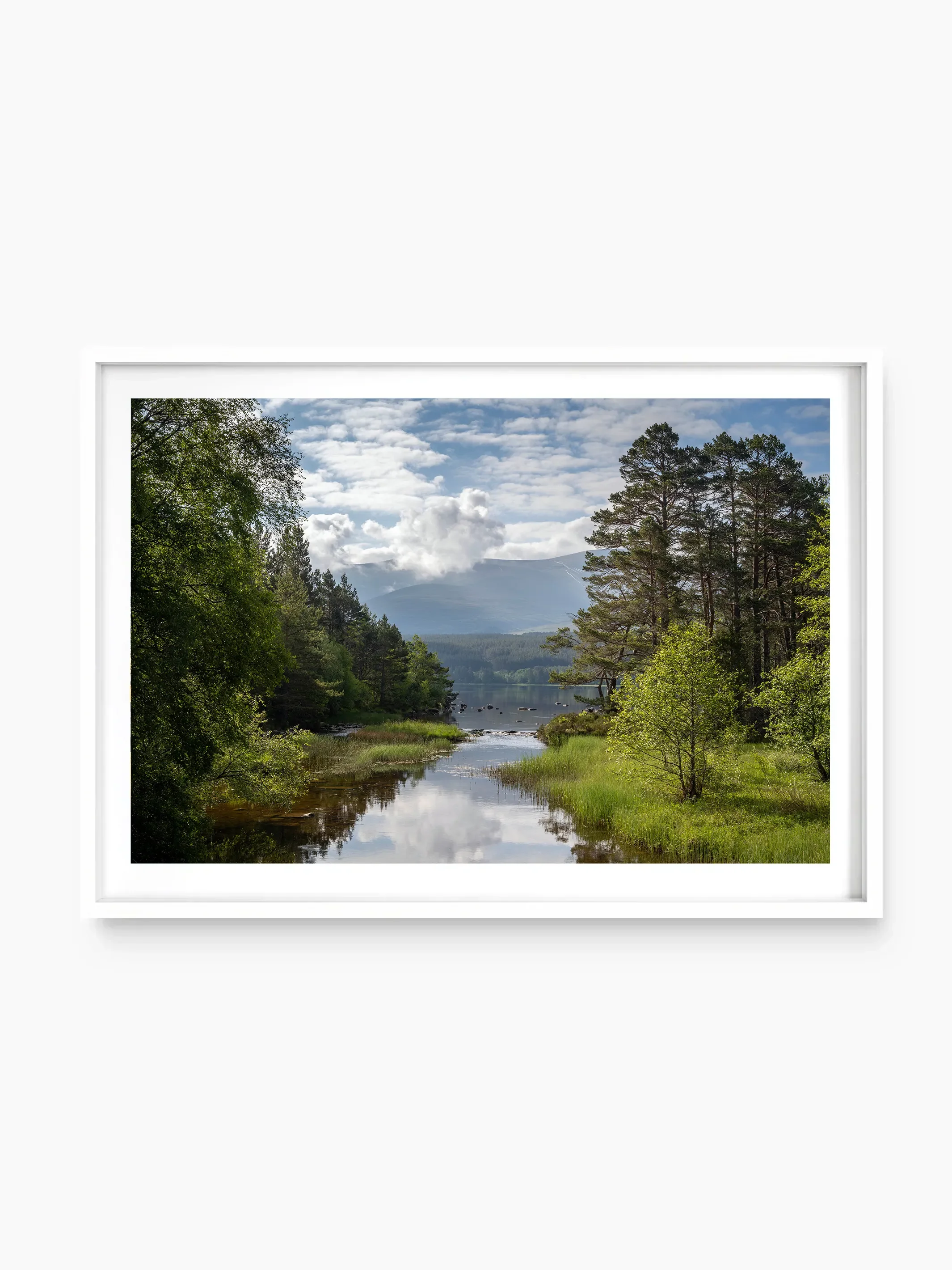 white_template copy.webp