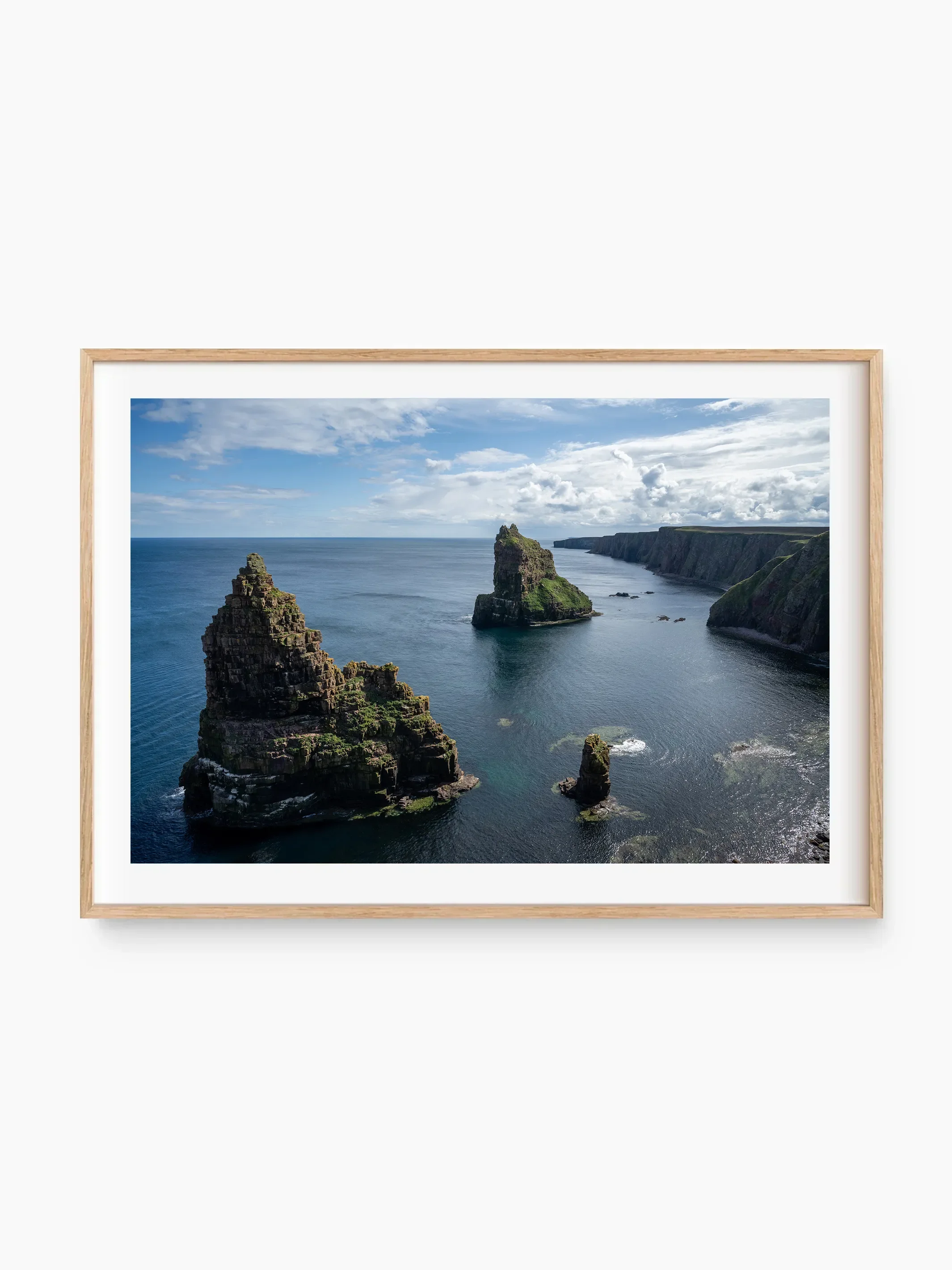 beech_template copy.webp