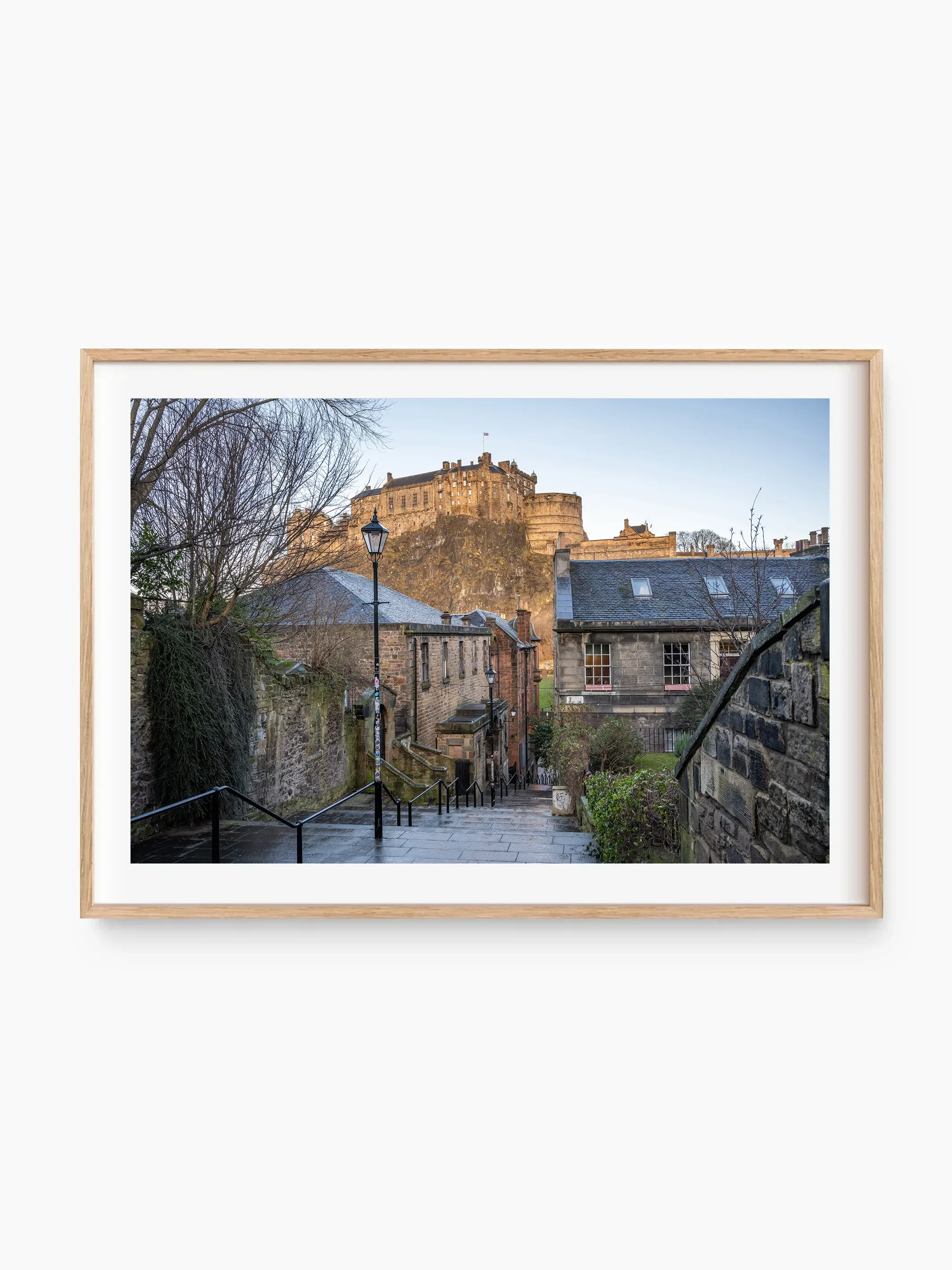 beech_template copy.webp