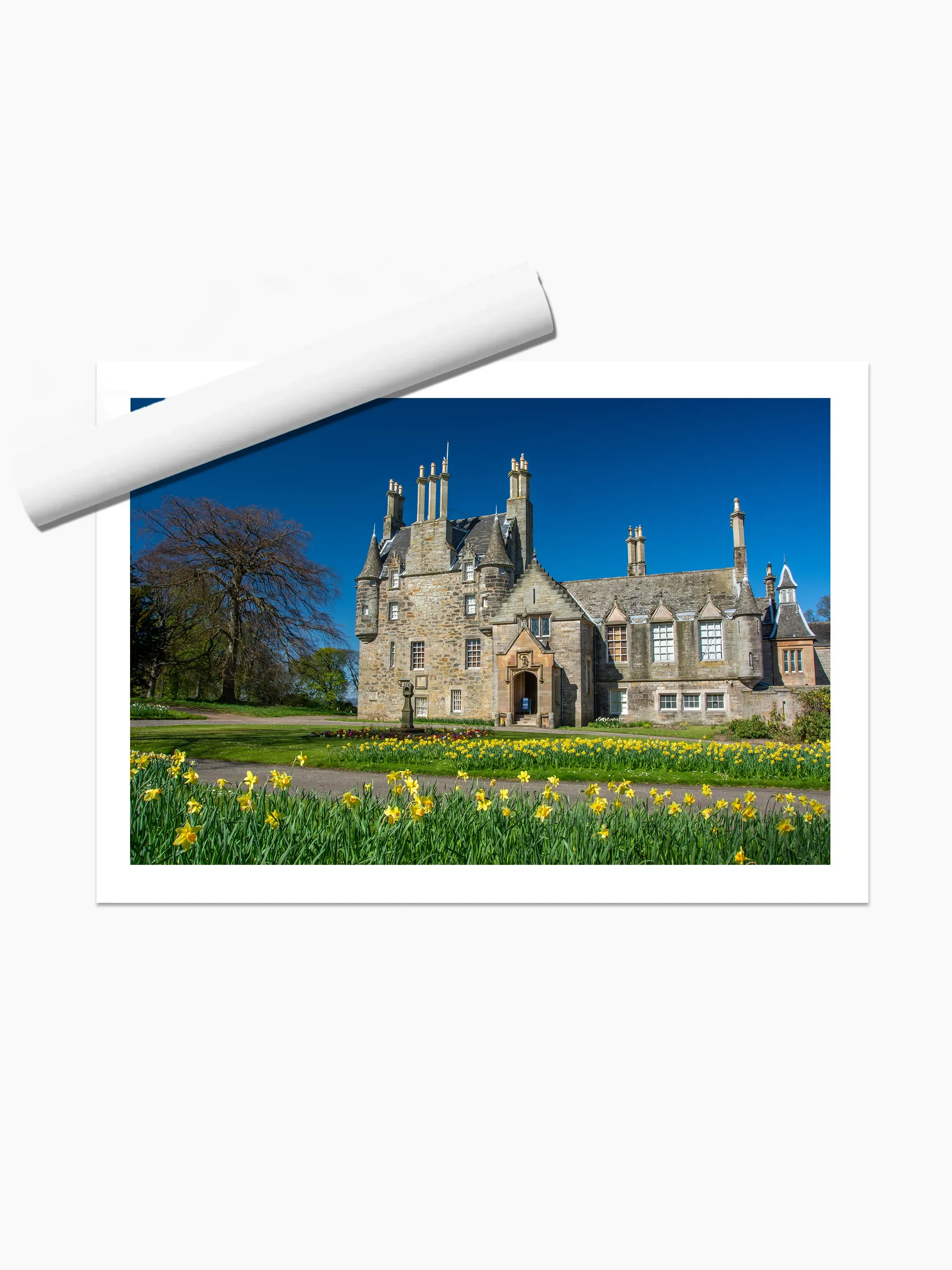 print template copy.webp