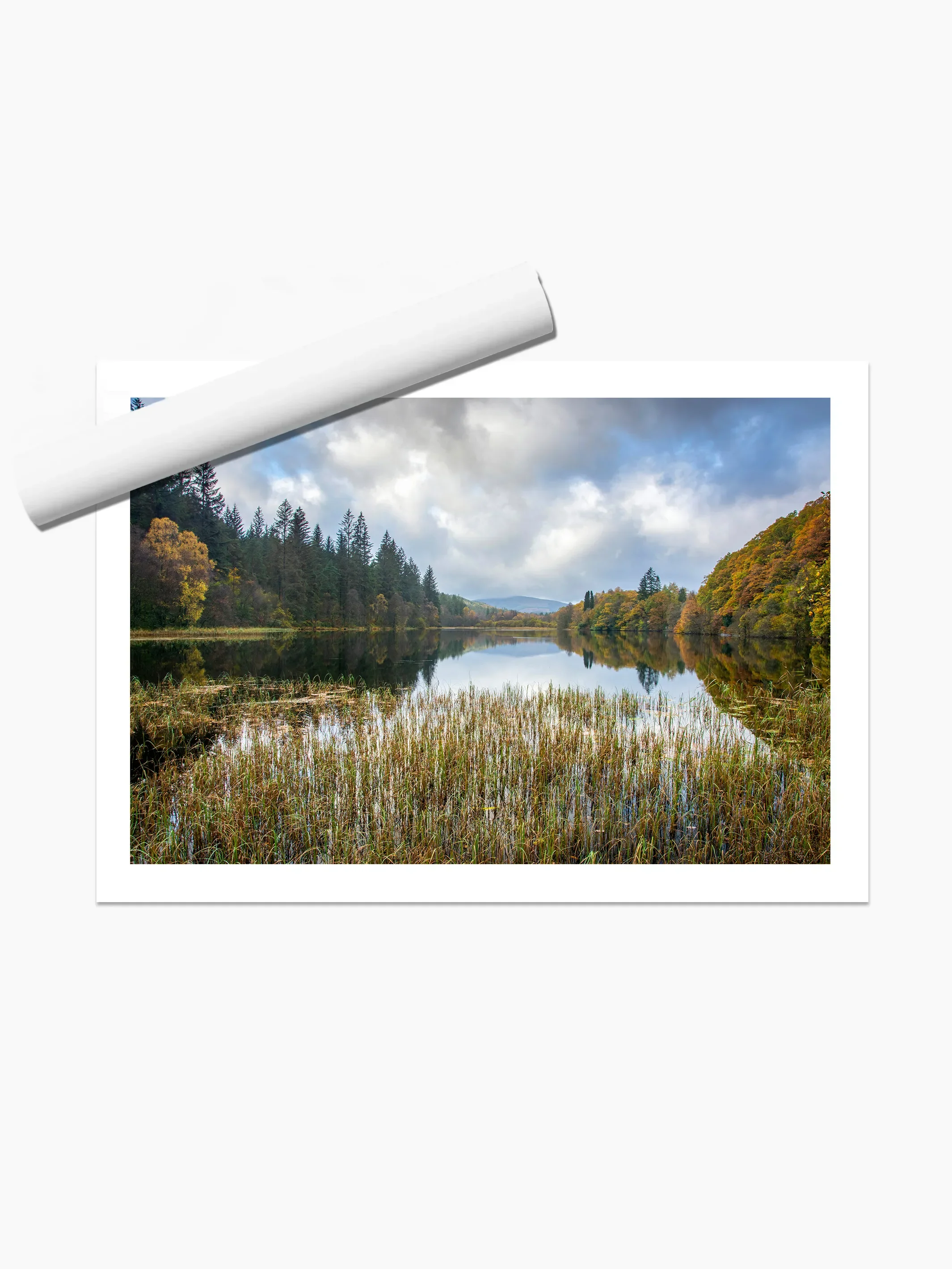 print template copy.webp