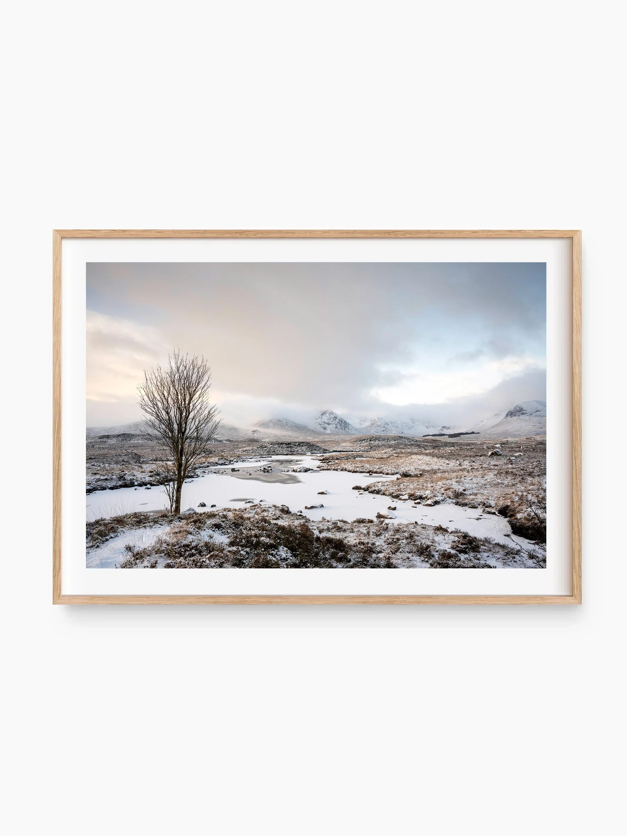 beech_template copy.webp