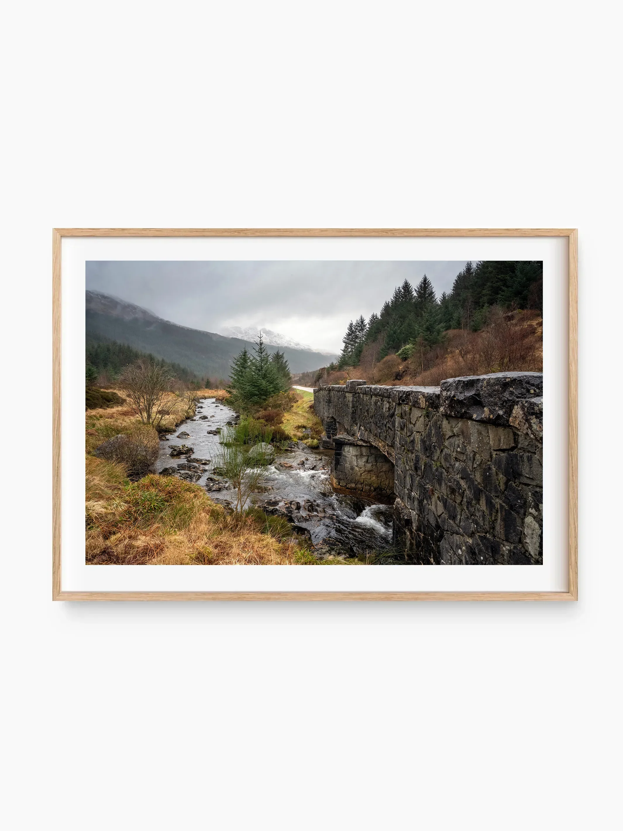 beech_template copy.webp