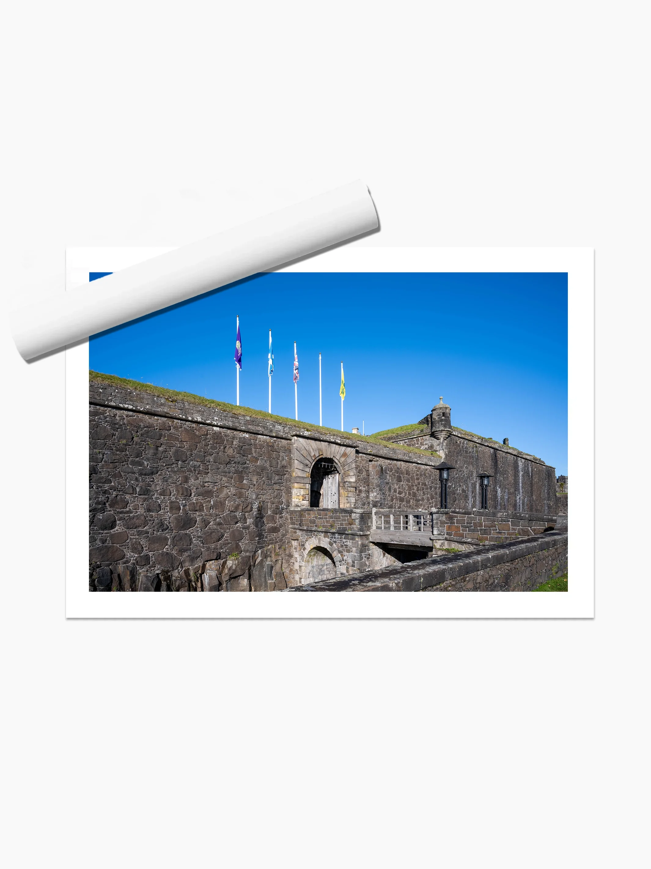print template copy.webp