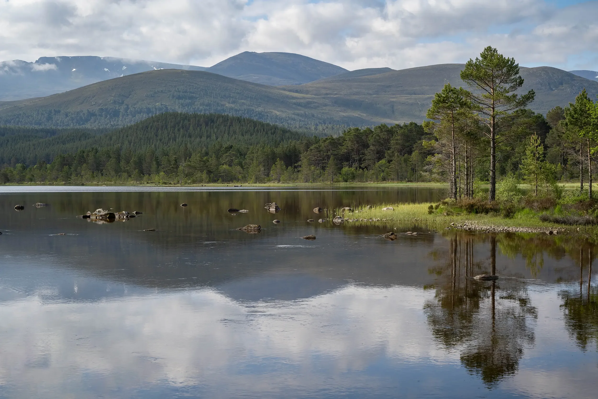 20230607-DSC_8253 copy 2.webp