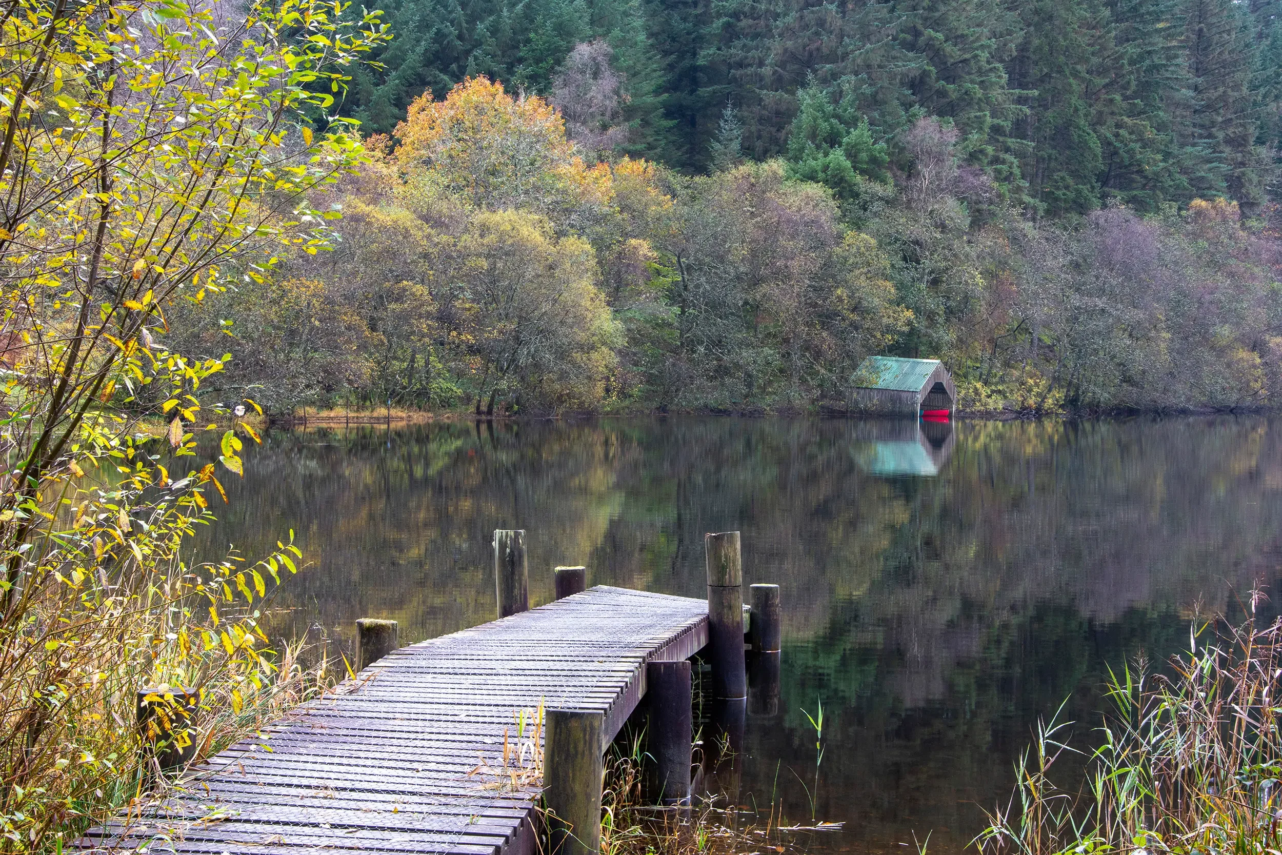 Loch Ard, The Trossachs National Park