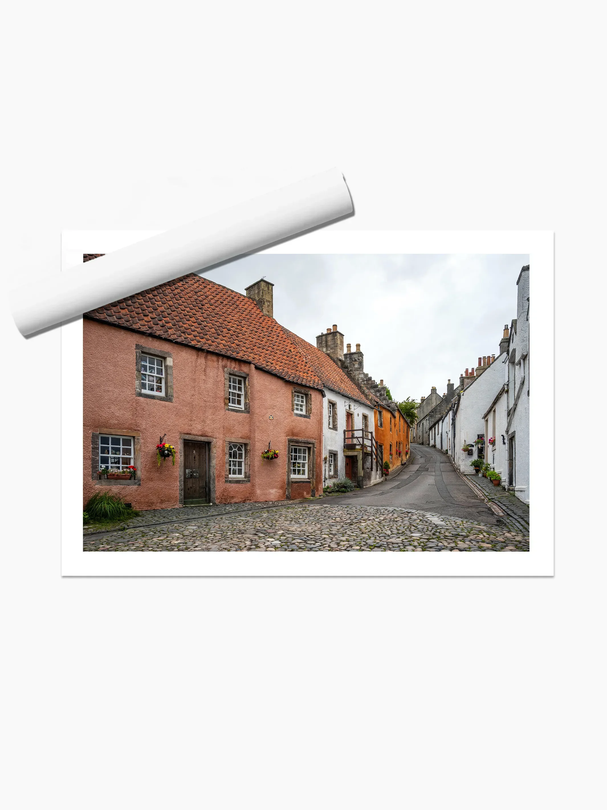 print template copy.webp