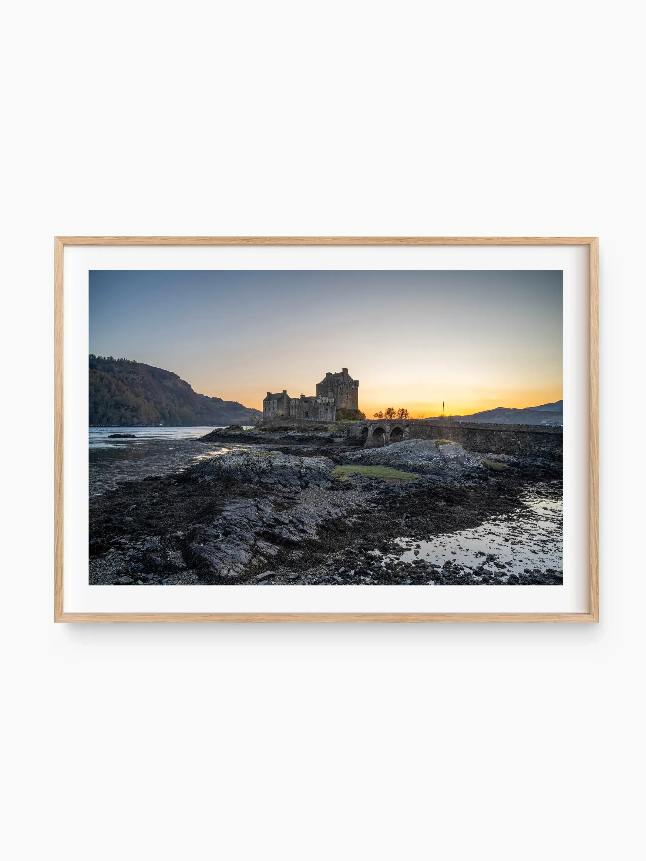 beech_template copy.webp