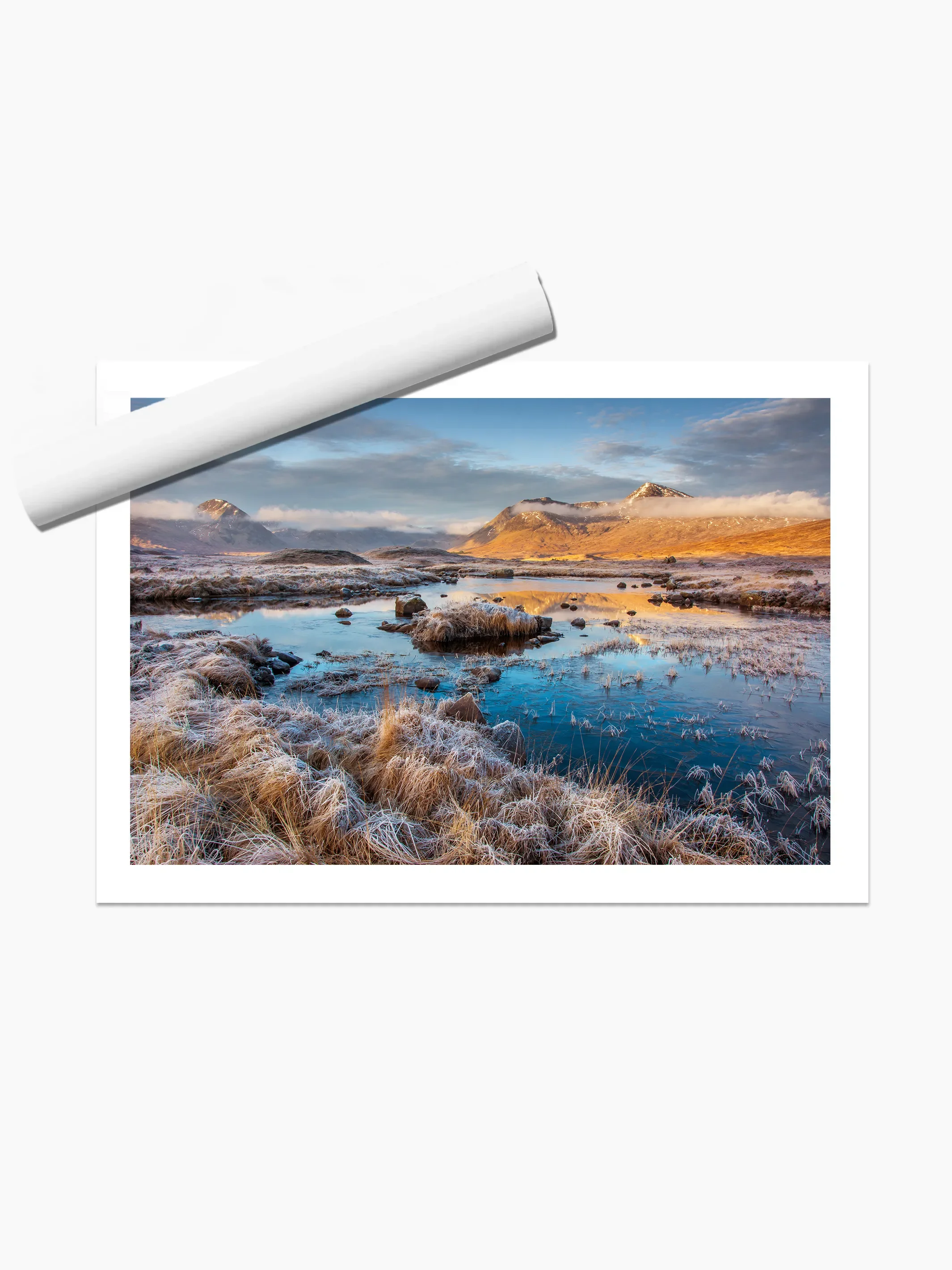 print template copy.webp