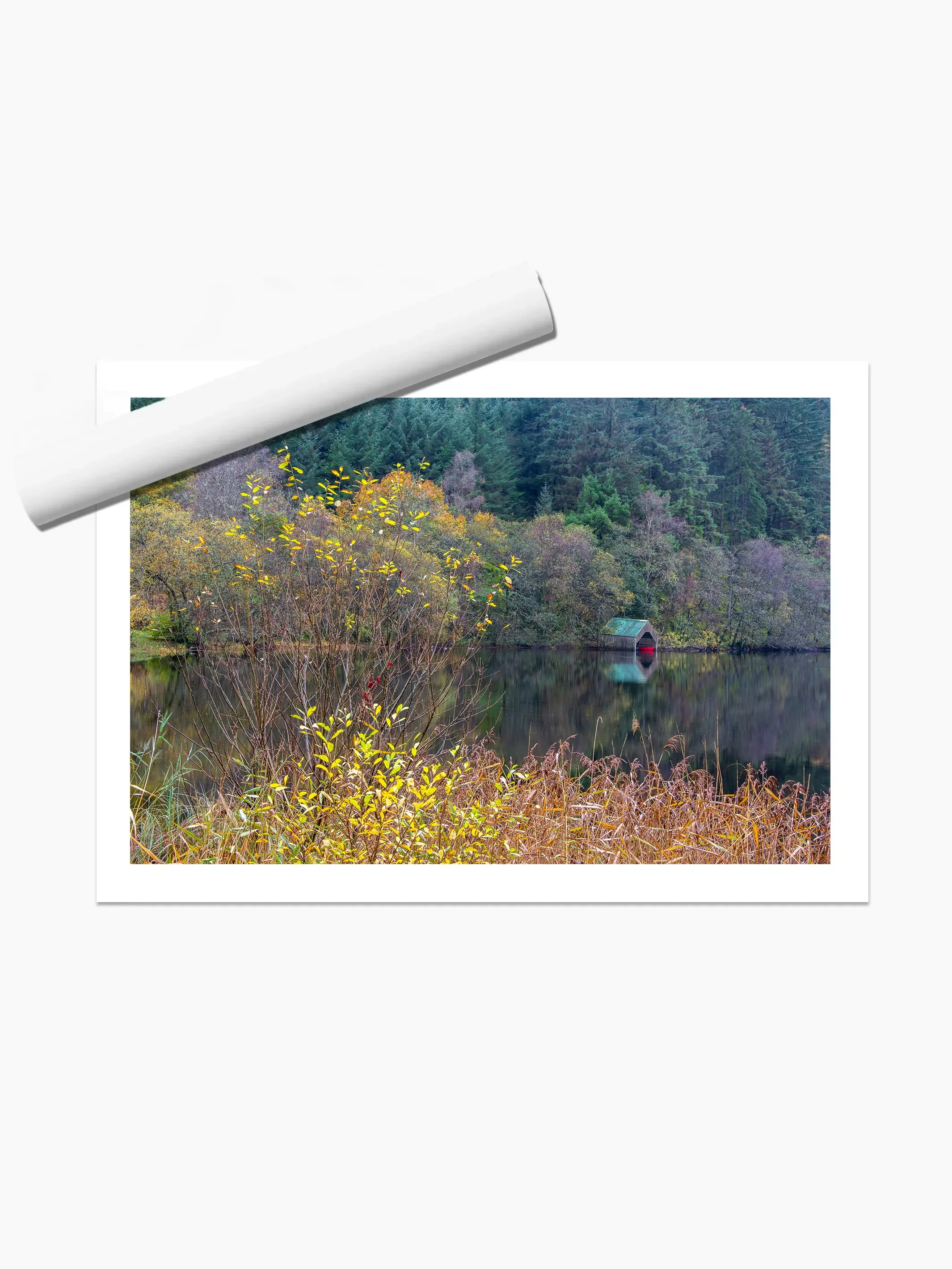 print template copy.webp