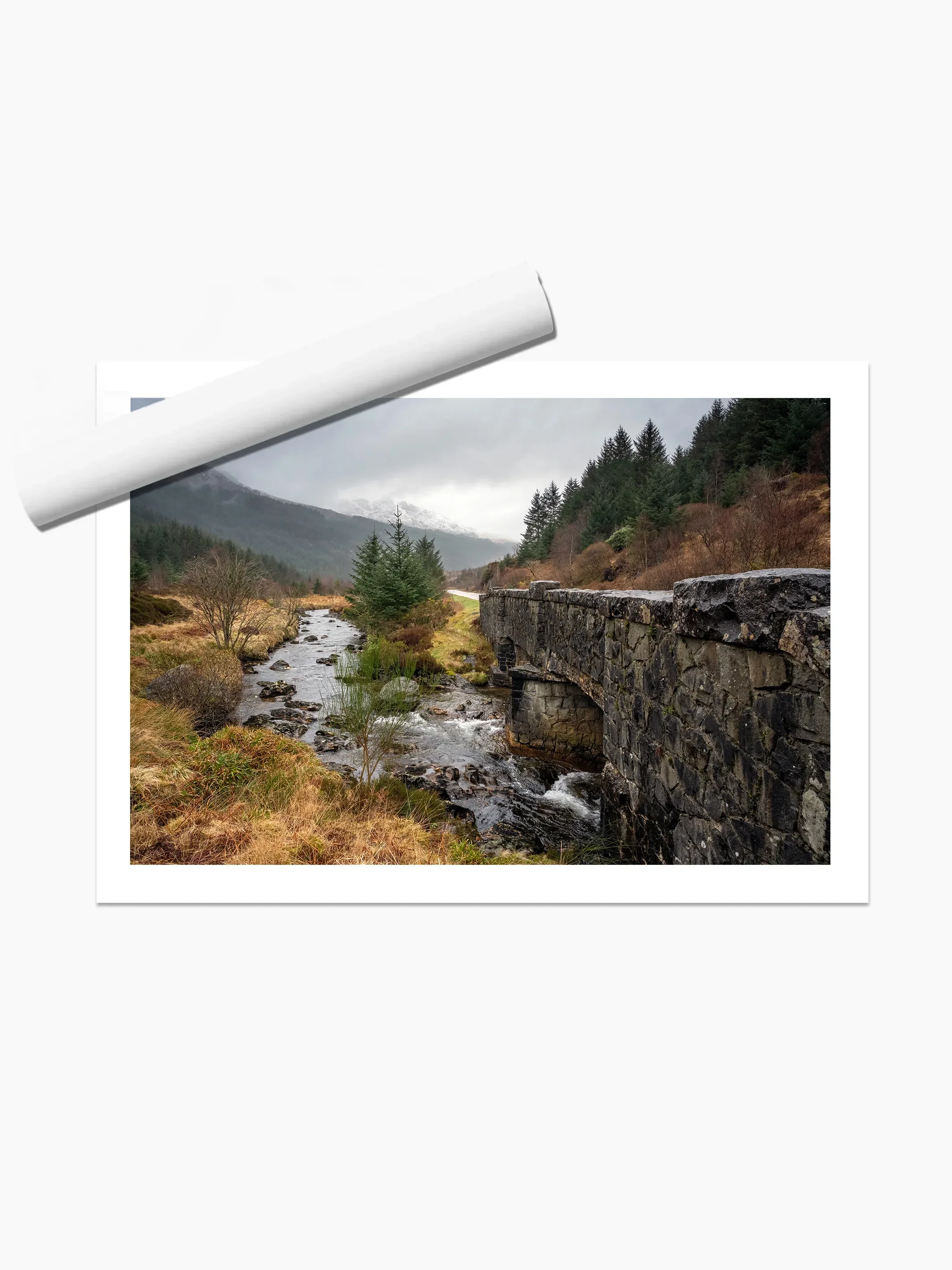 print template copy.webp