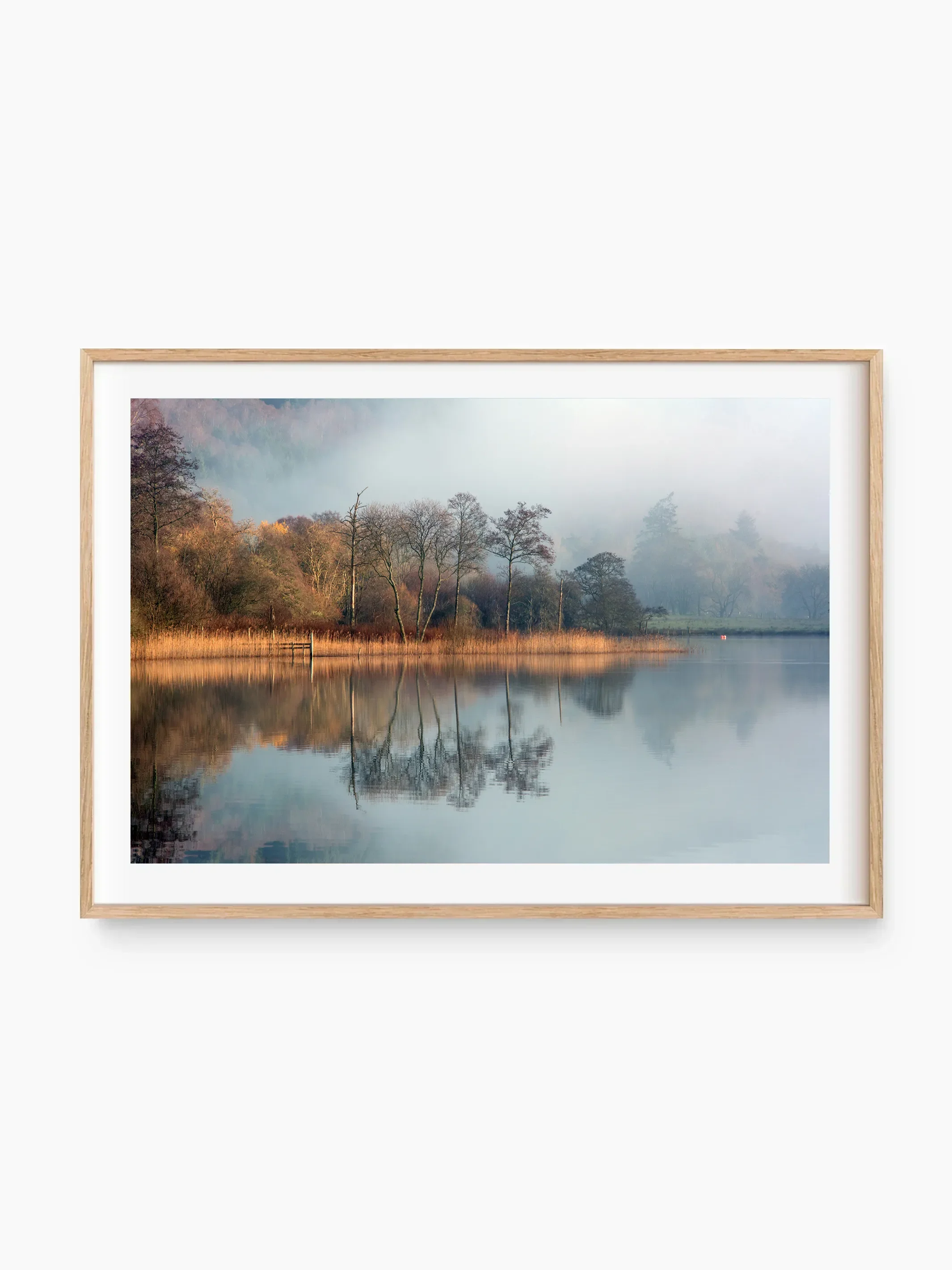 beech_template copy.webp