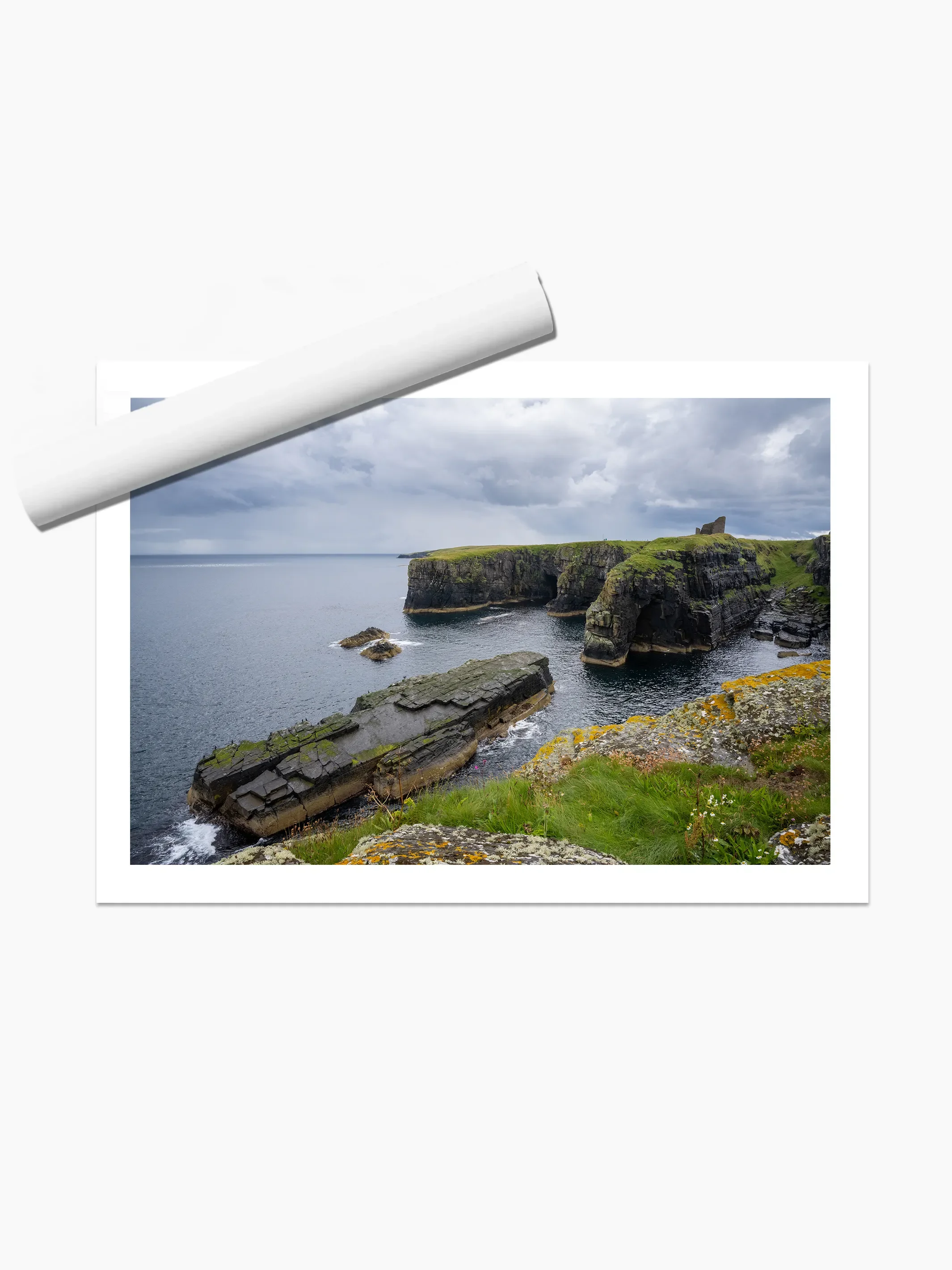 print template copy.webp