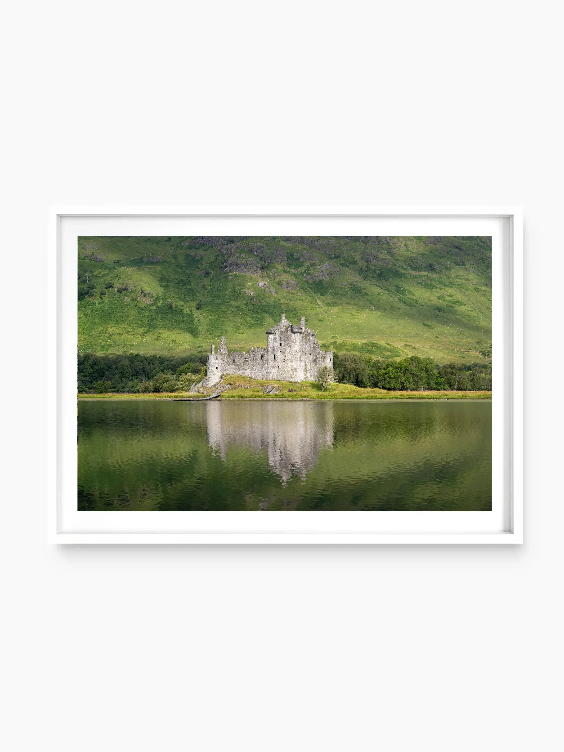 white_template copy.webp