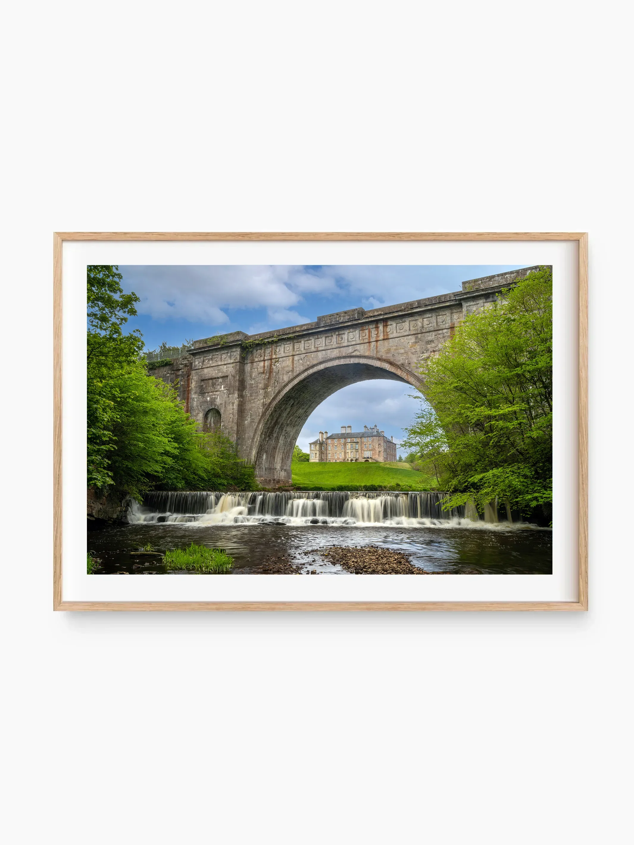 beech_template copy.webp